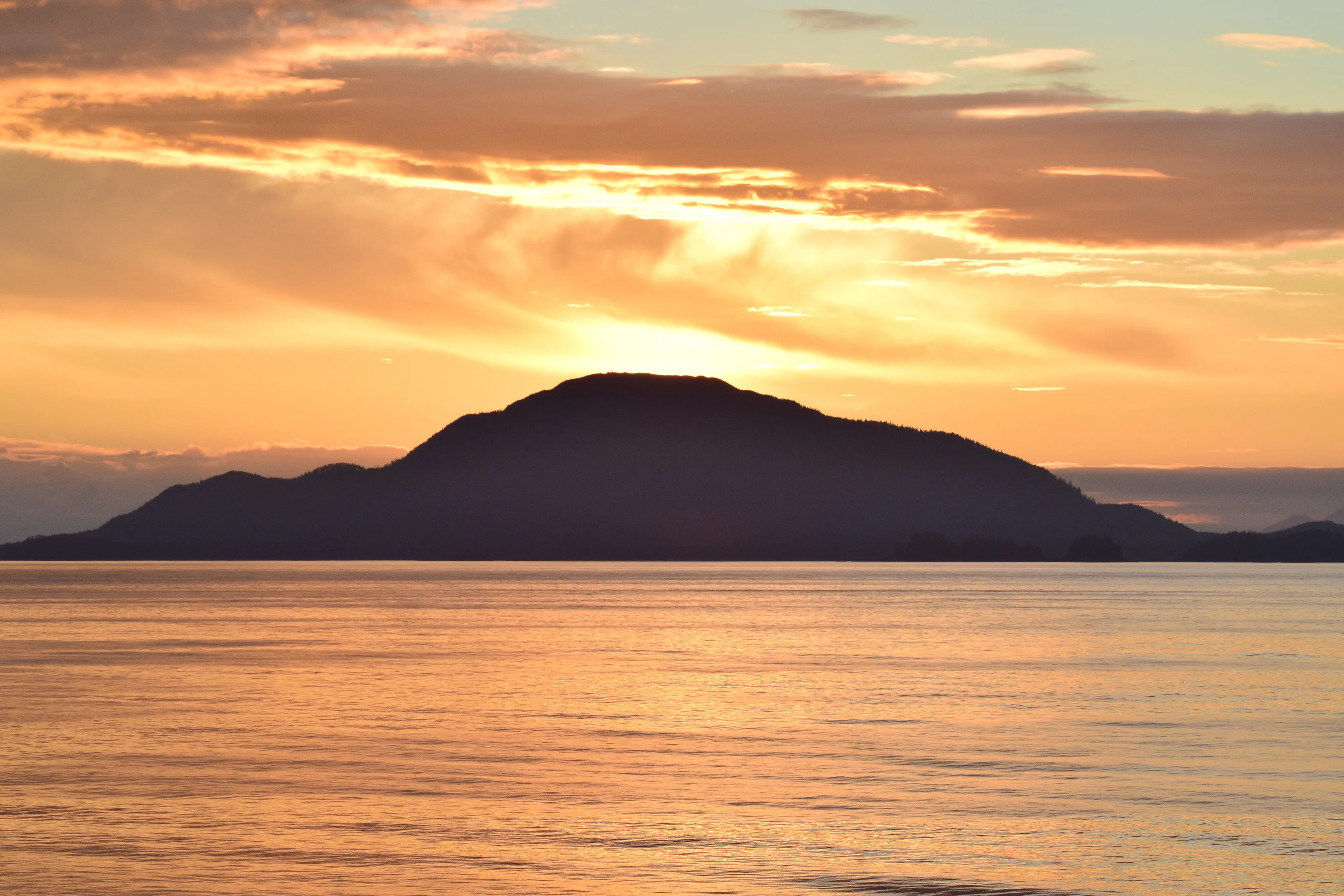 Sunset silhouette