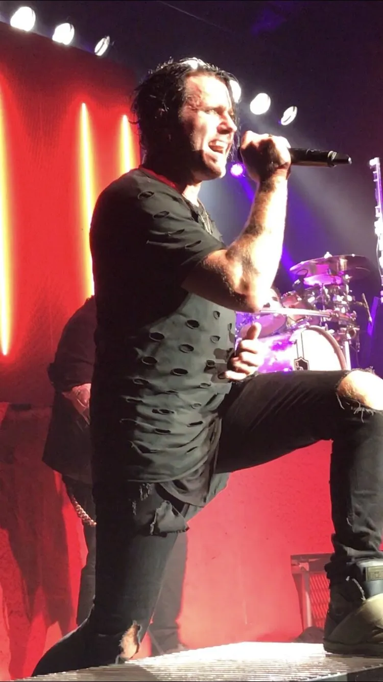 Banner image