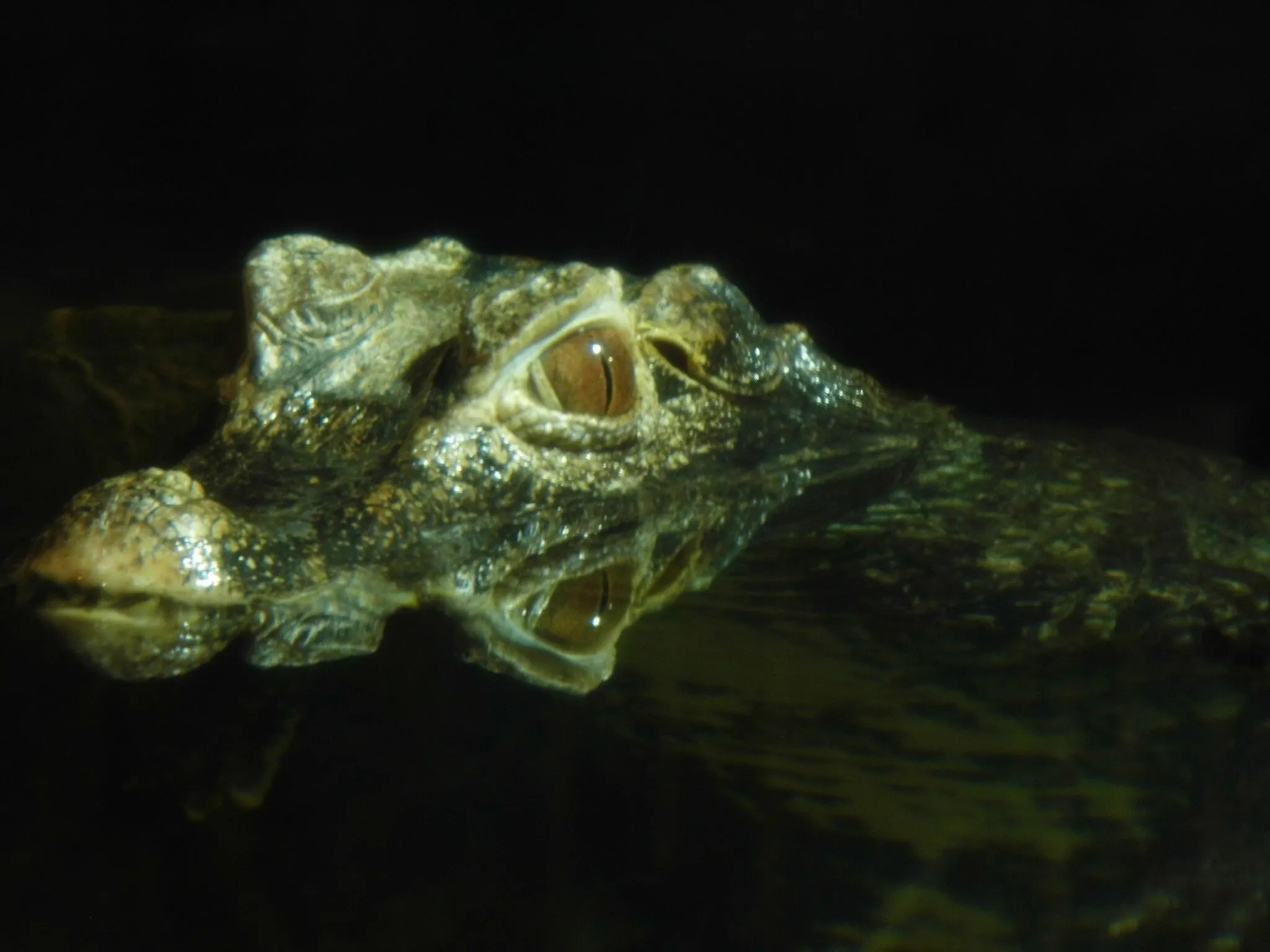 What lies beneath