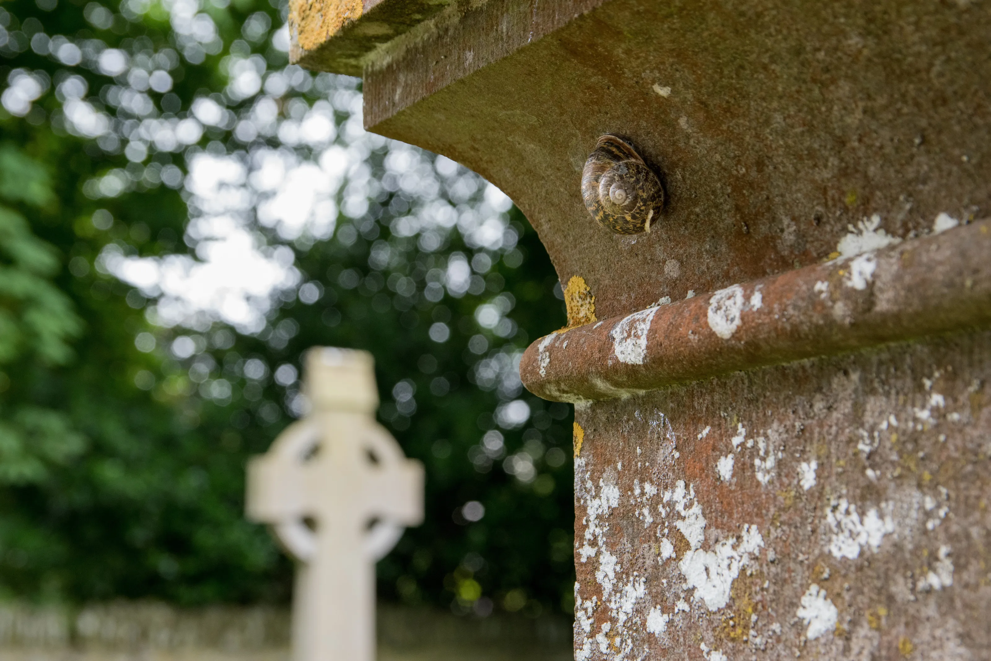 Snail pilgrimage
