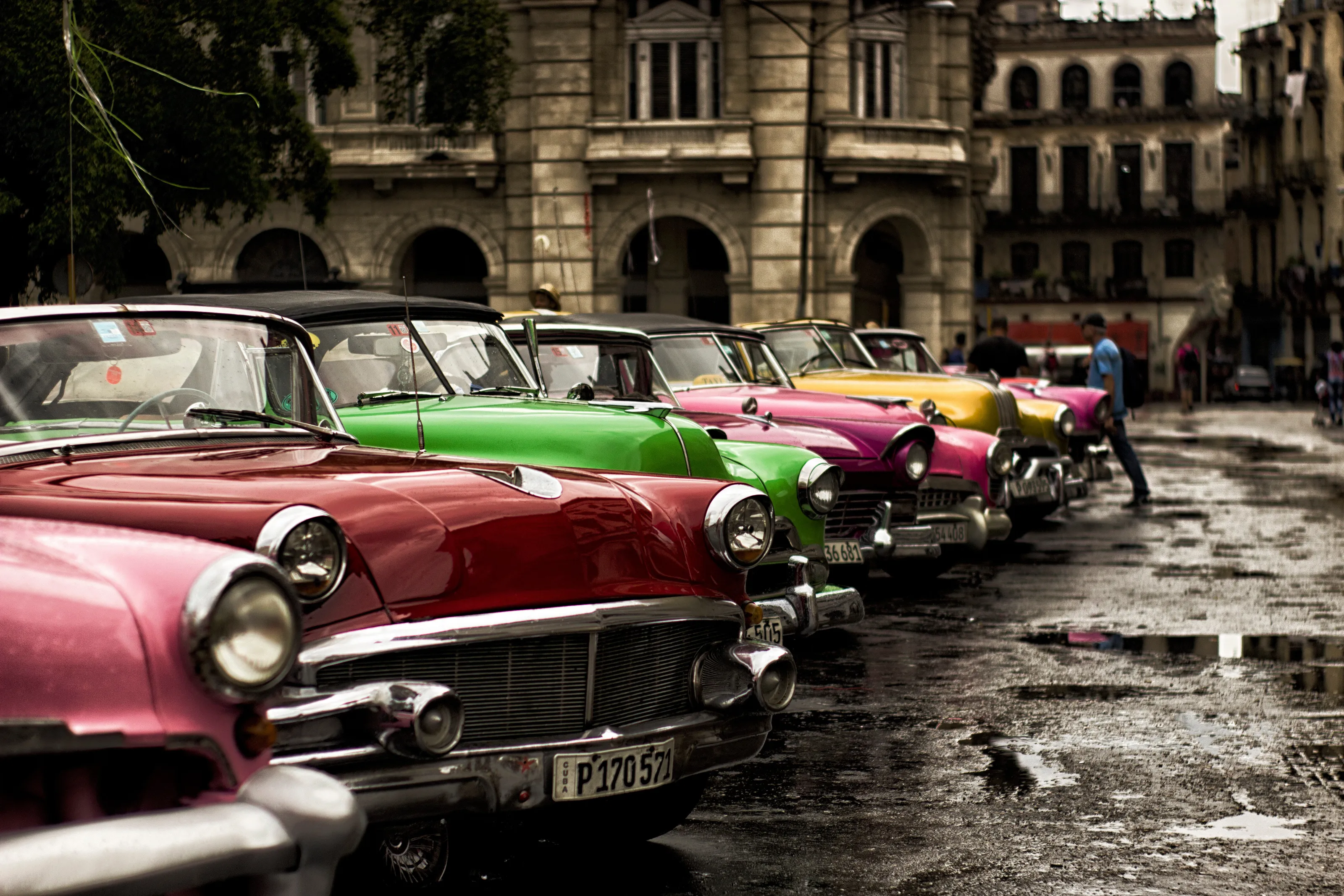 Vintage cars