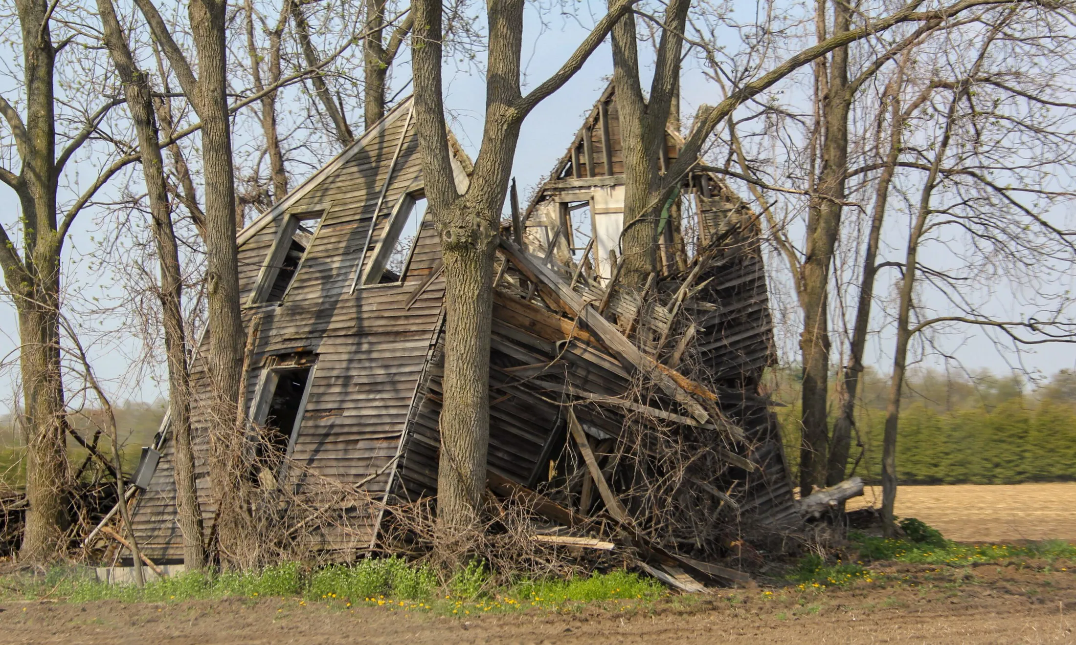 Entry 6210643