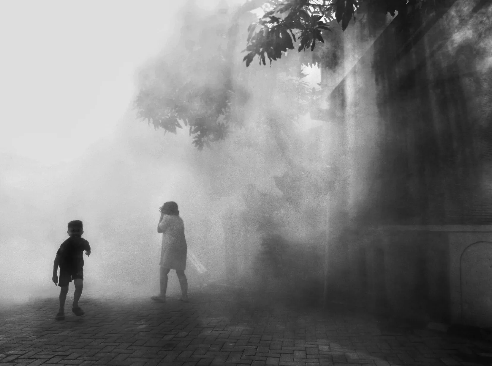 Fogging dengue