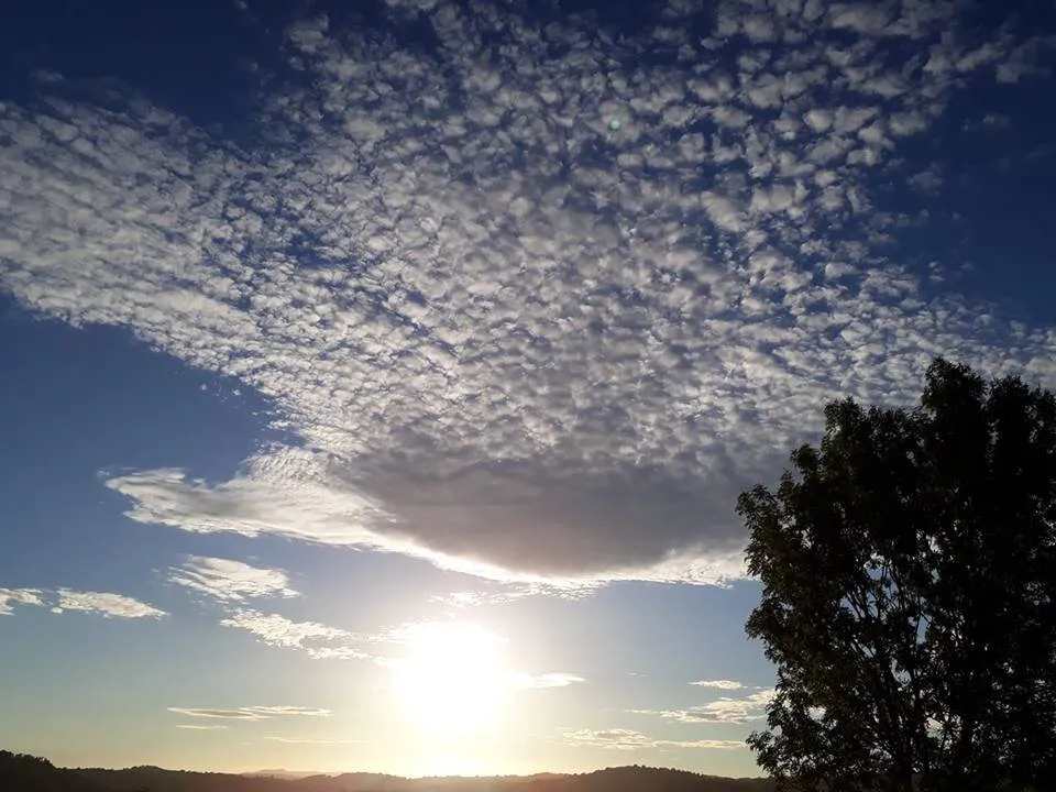 just look up !