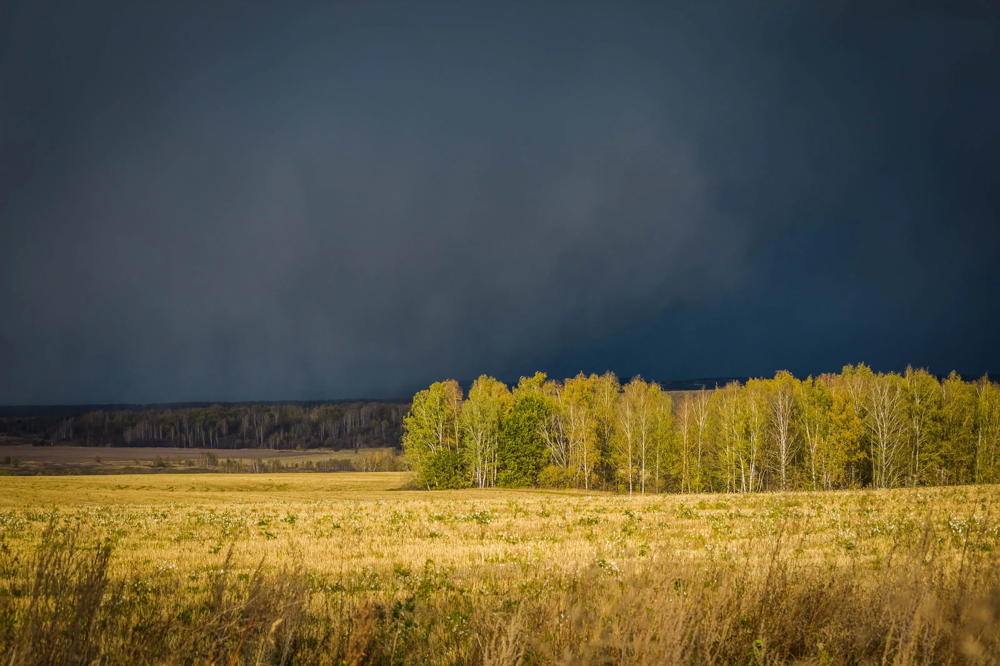 Before a storm