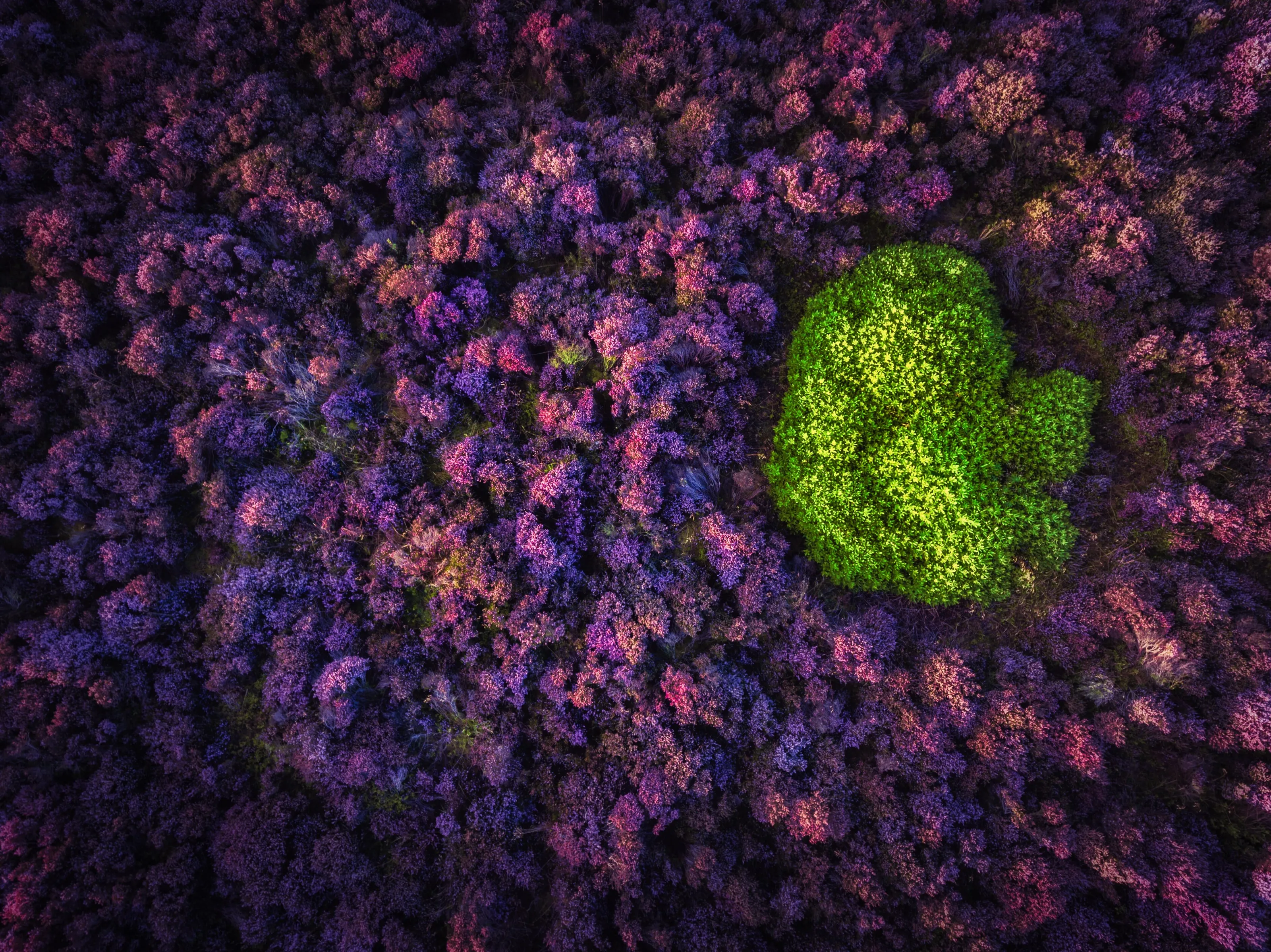 Surrounded