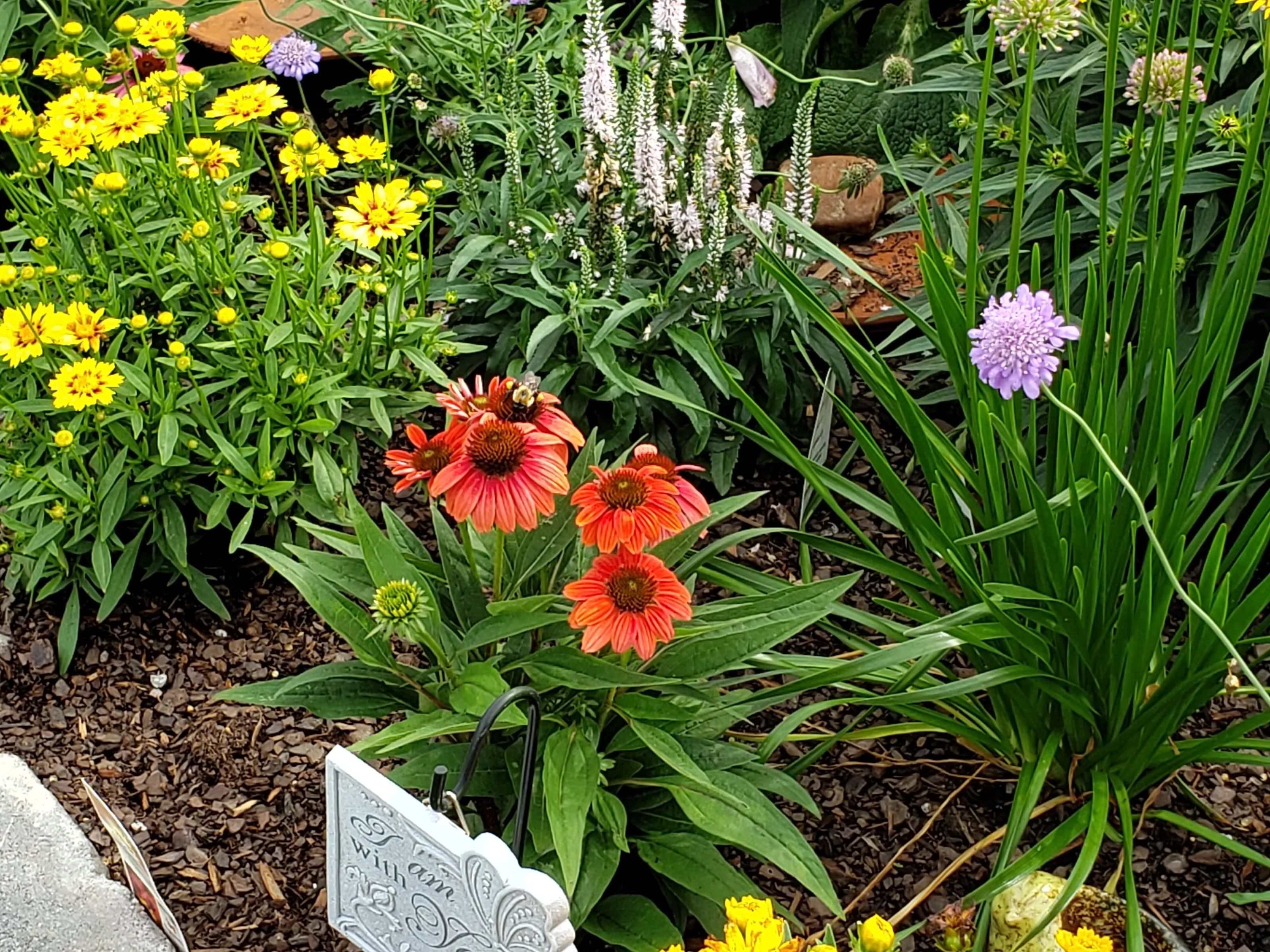 Butterfly Garden