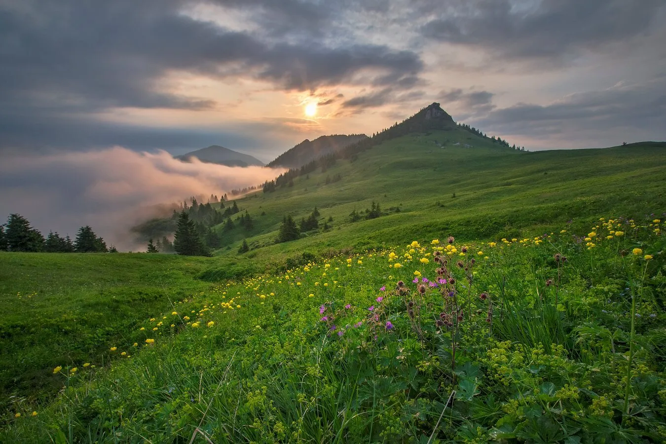 Morning in the mountains