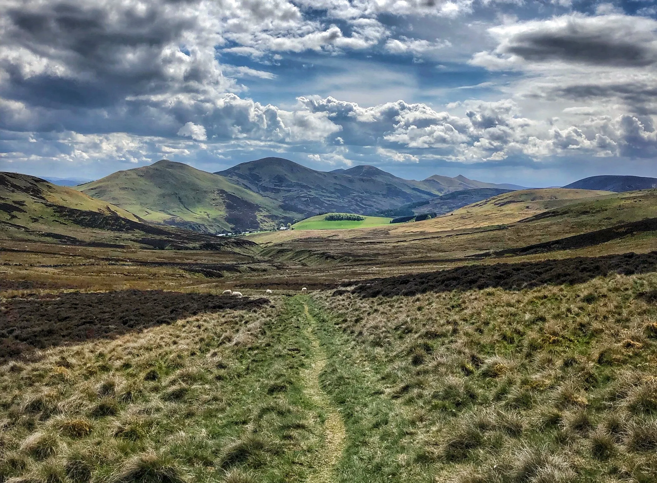 A run with a view....