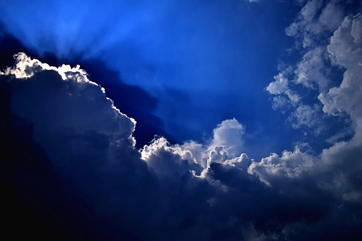 Entry 4366314