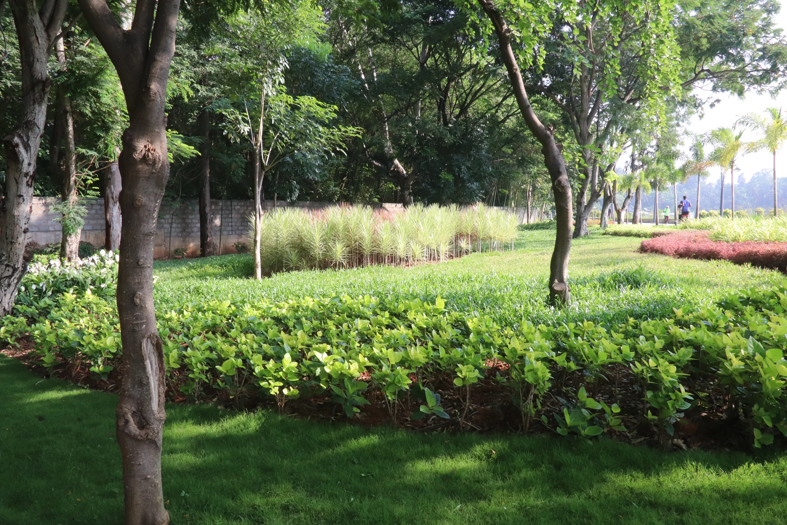 A beautiful garden