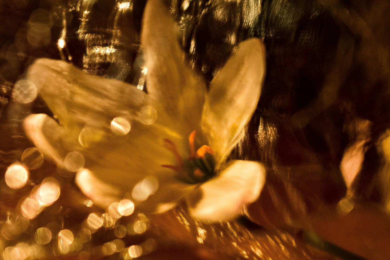 The fall
