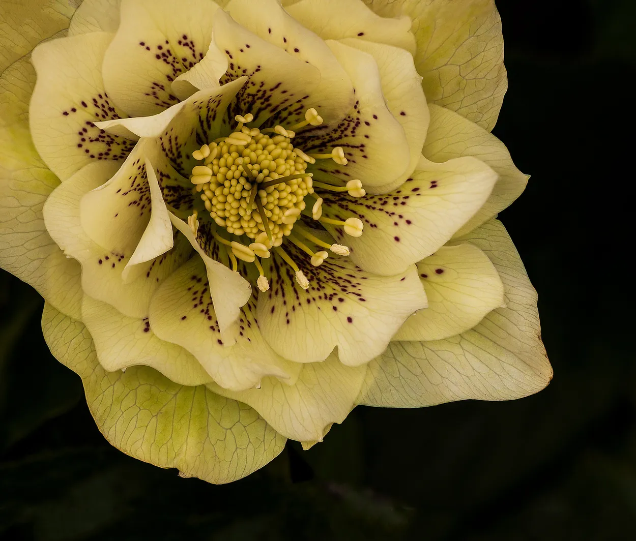 Entry 13923349