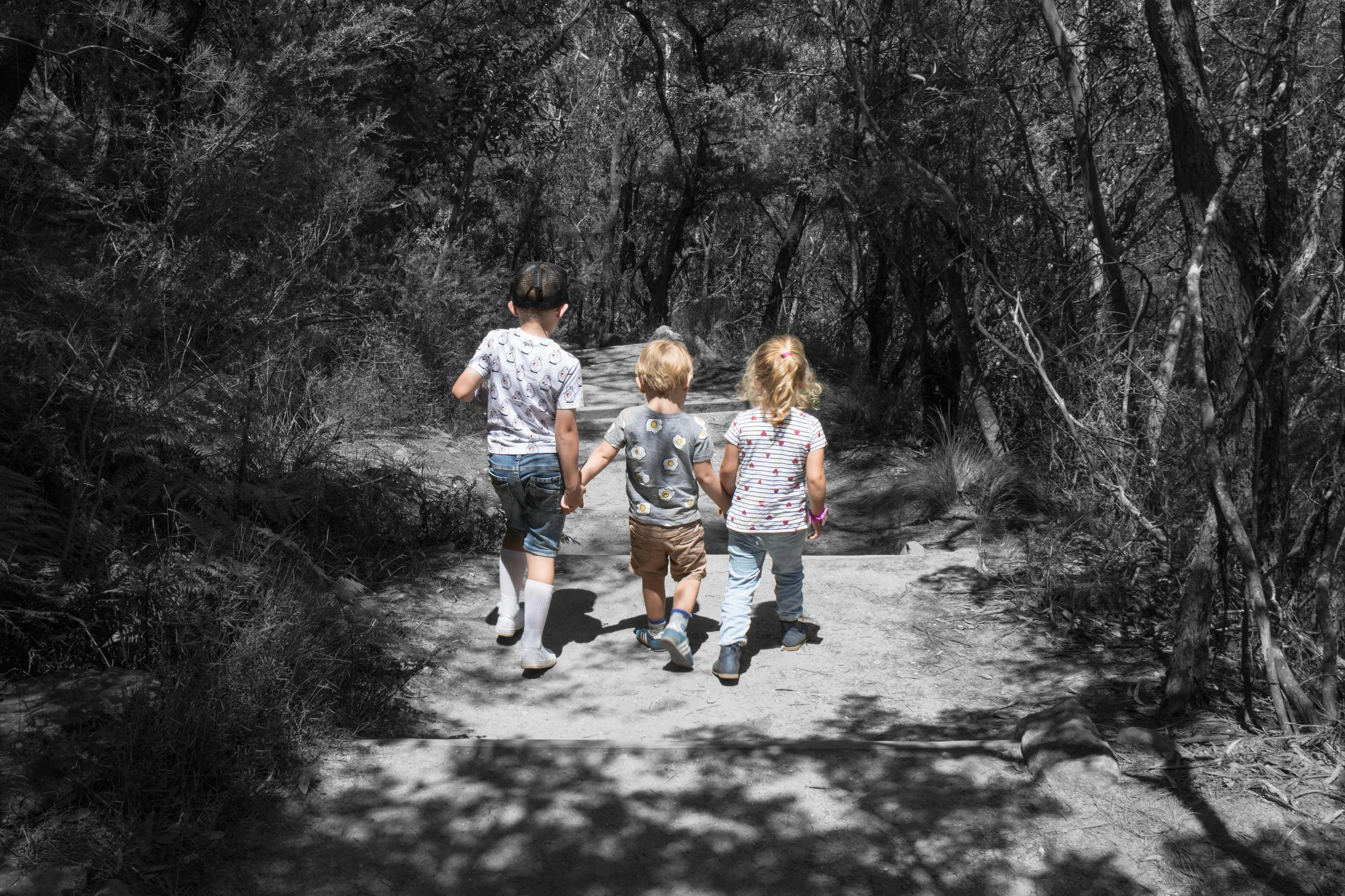Banner image