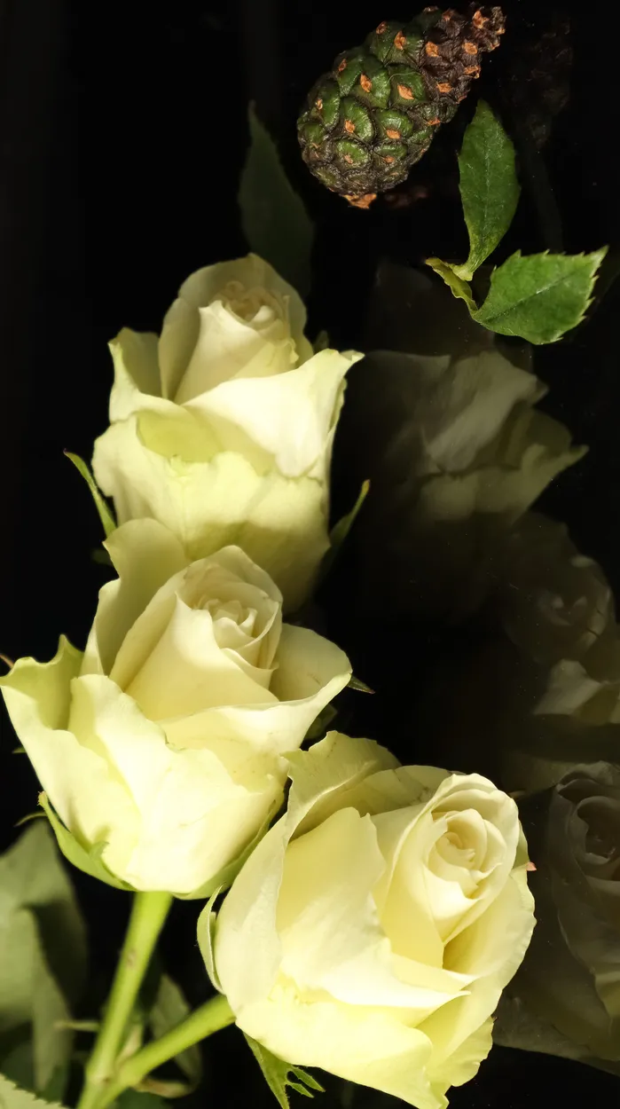 Entry 4392773