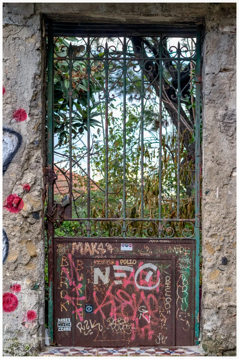 Entry 14356119