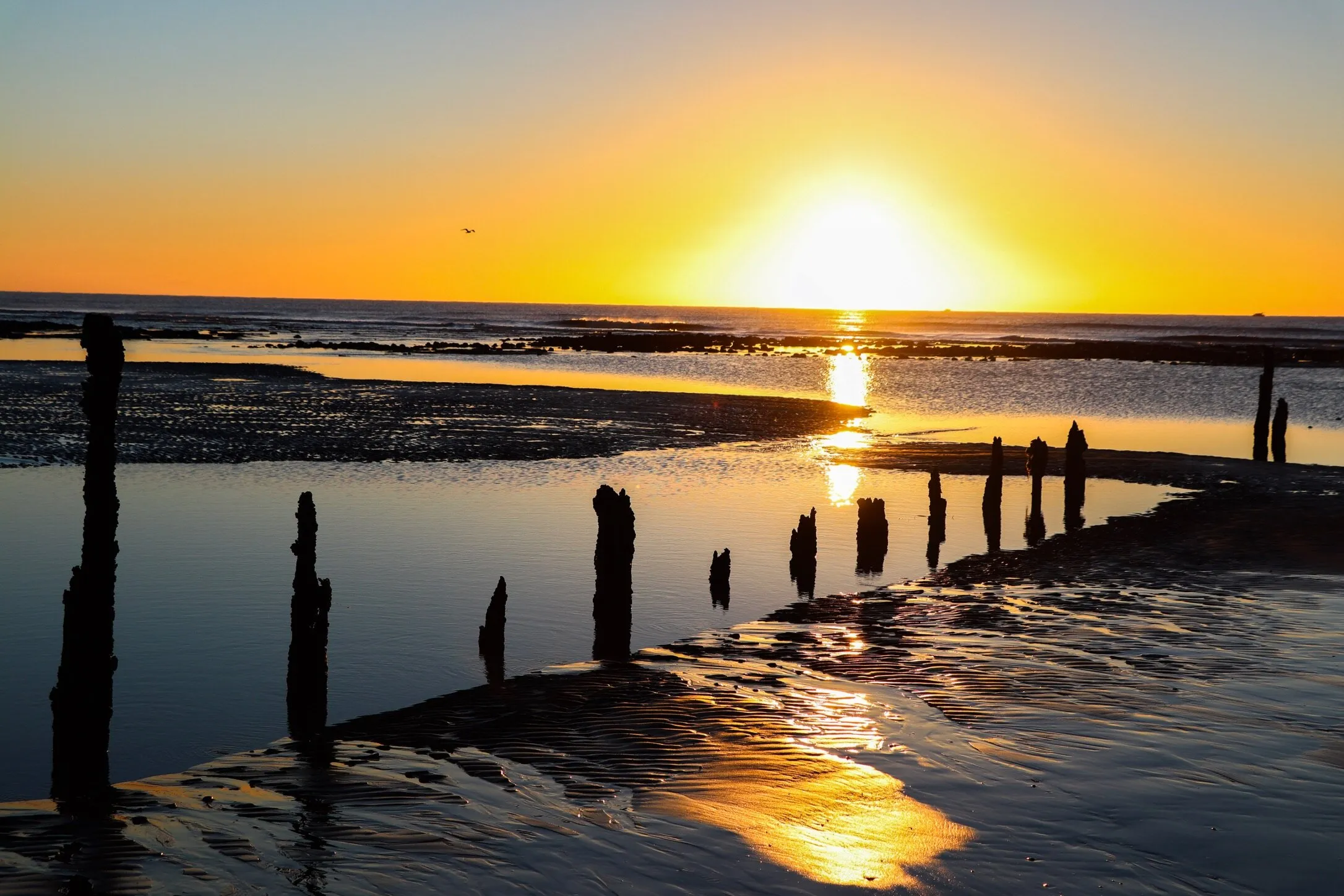 Sunrise on Pett level