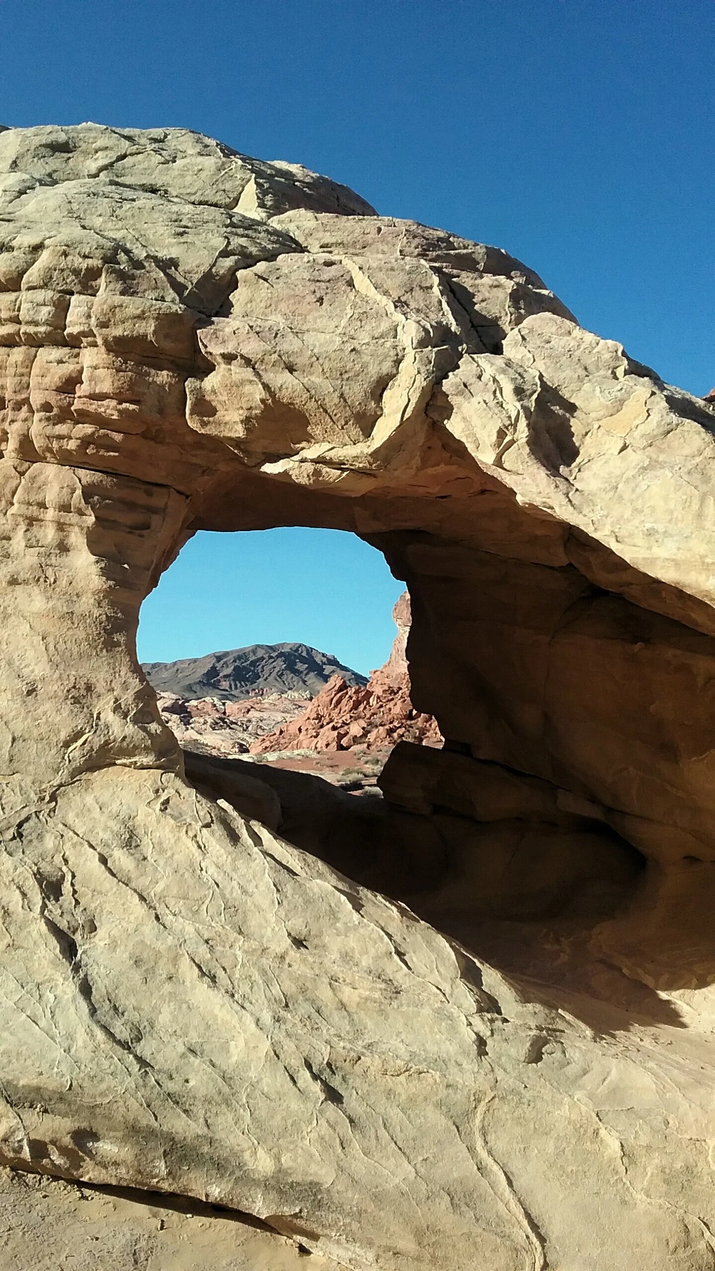 Arch Window