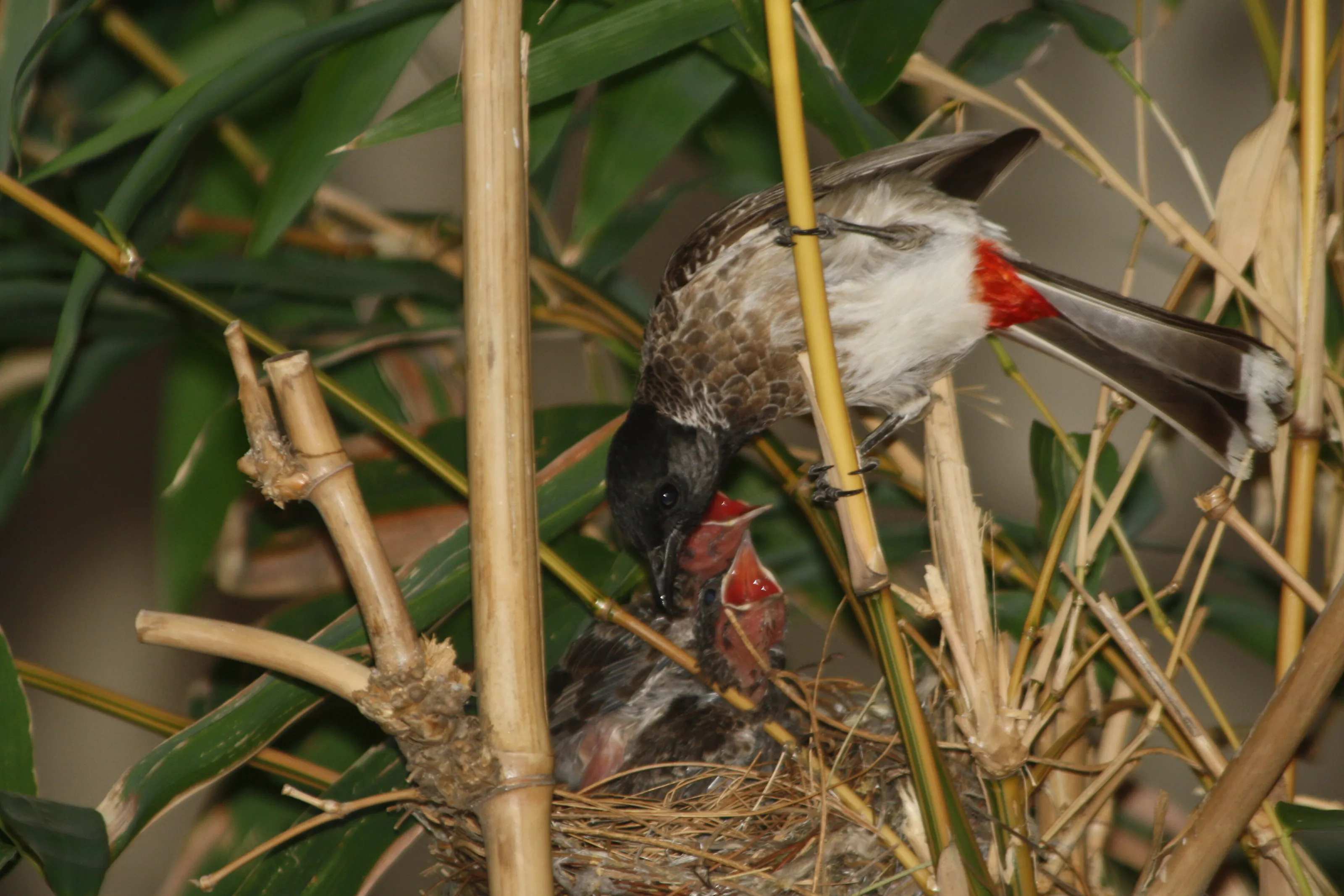 Mother and baby