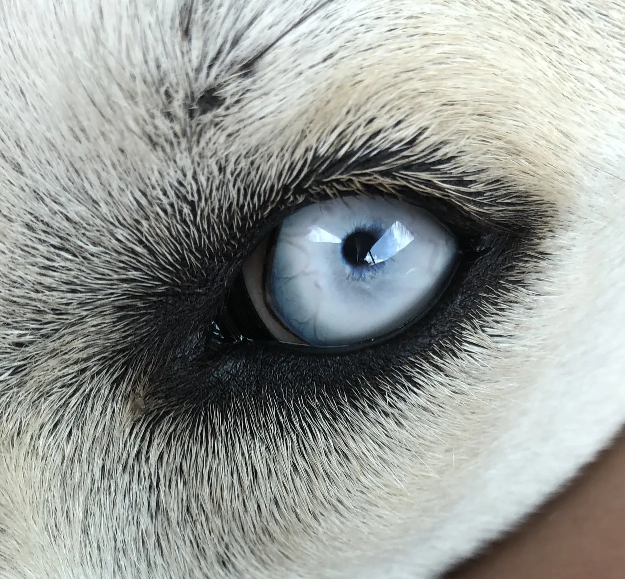 Entry 4410527