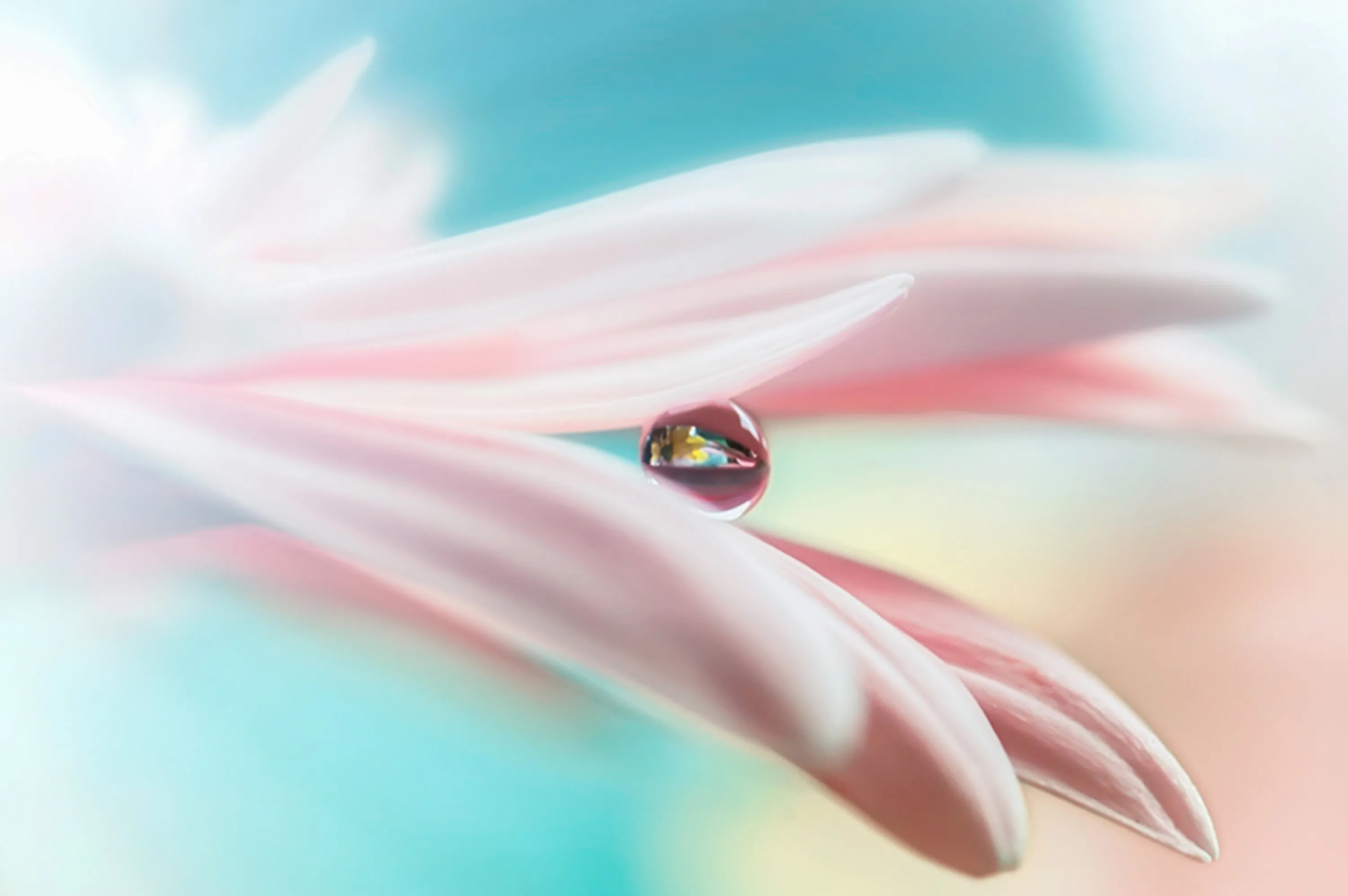 Pearls