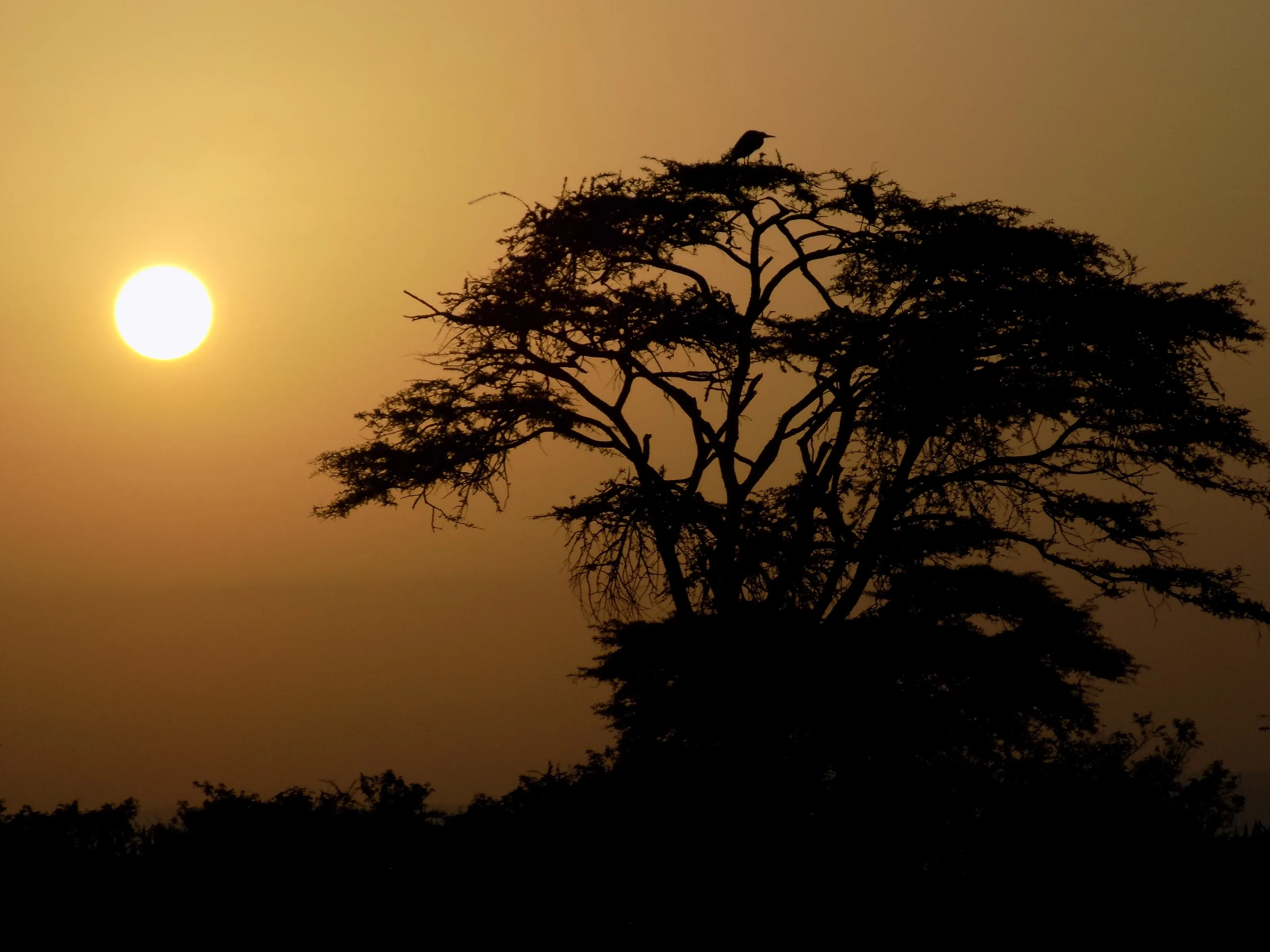 Hazy atmosphere