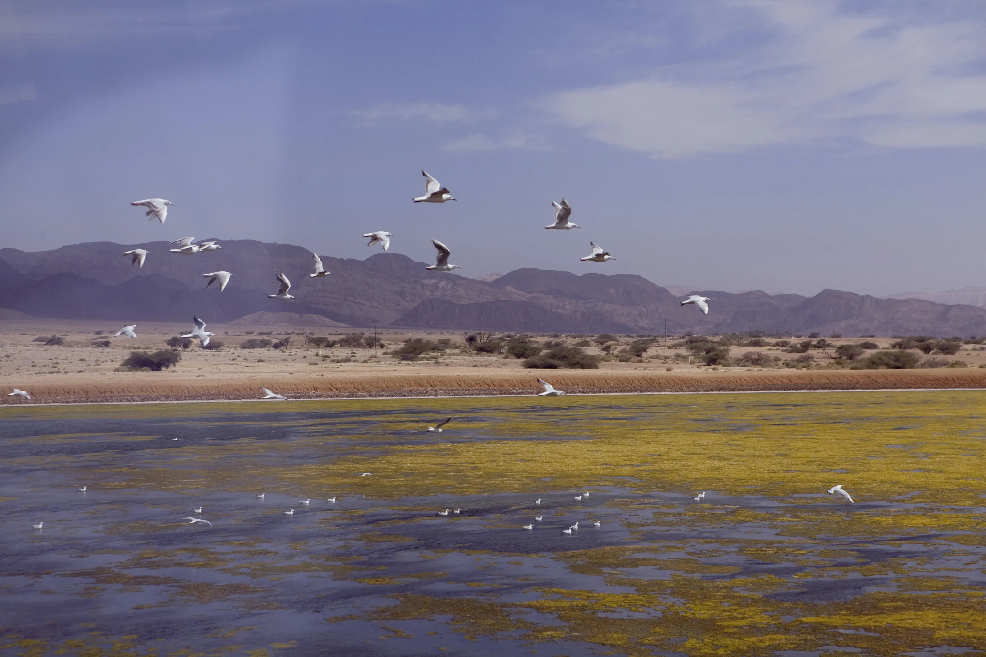 Landscapes of Israel, Views of the Holy Land