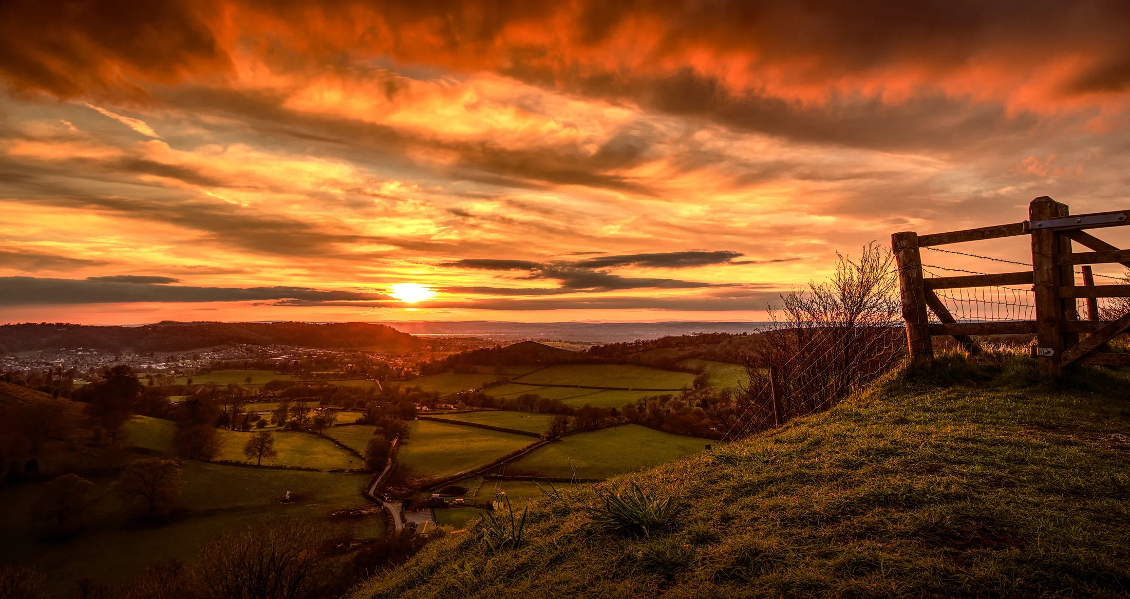 Entry 7096357
