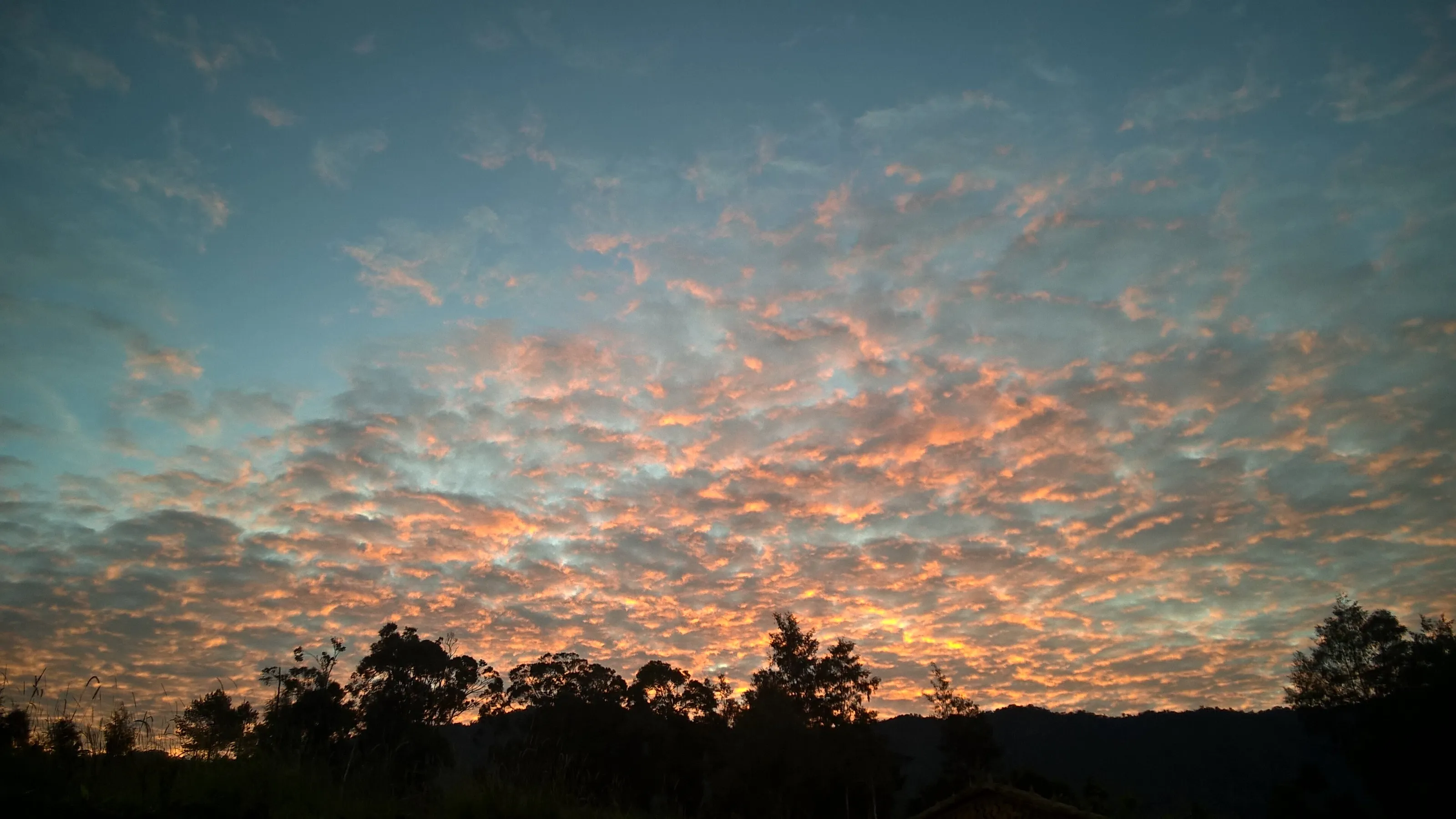 Sunset Patches