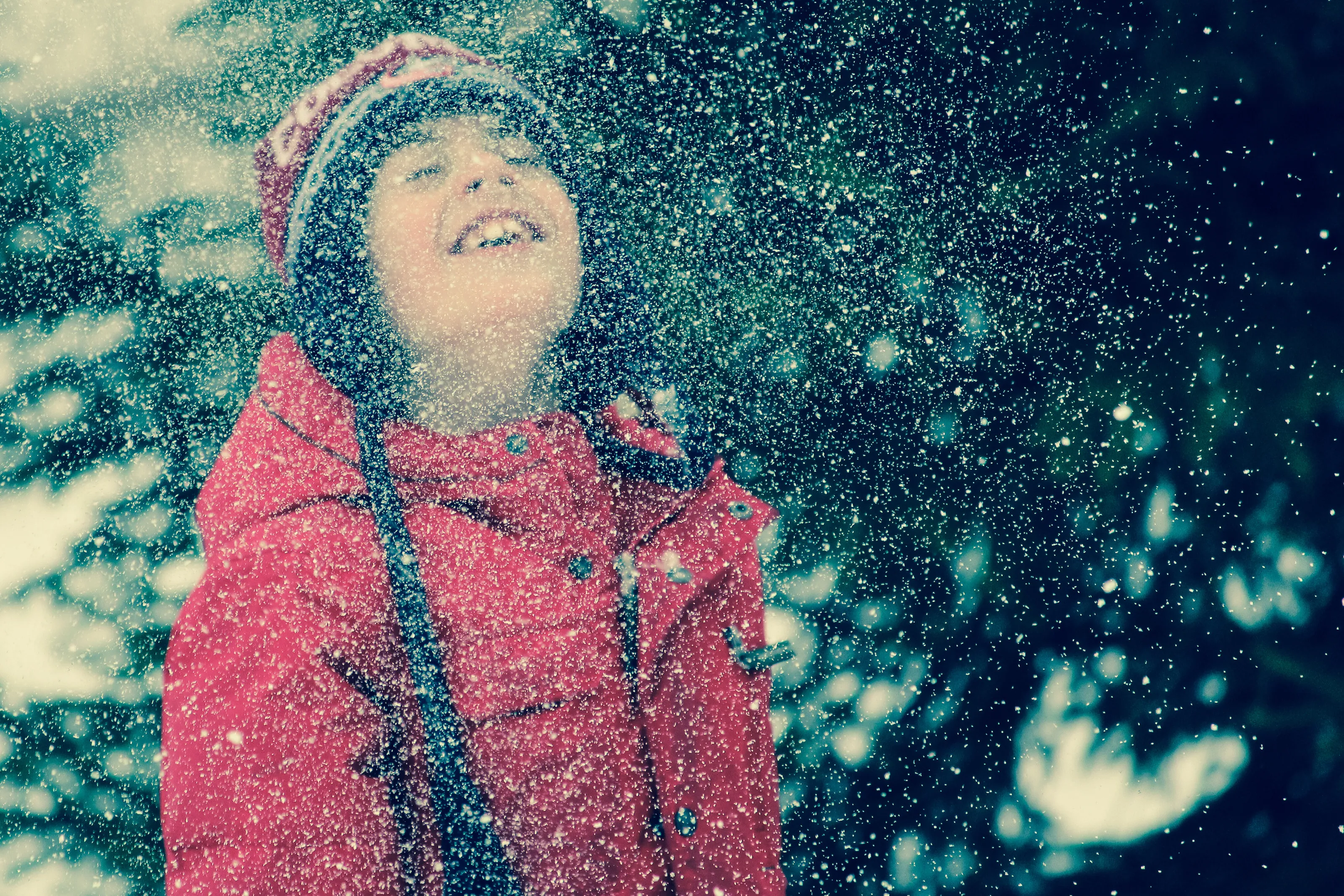 For the Love of Snow