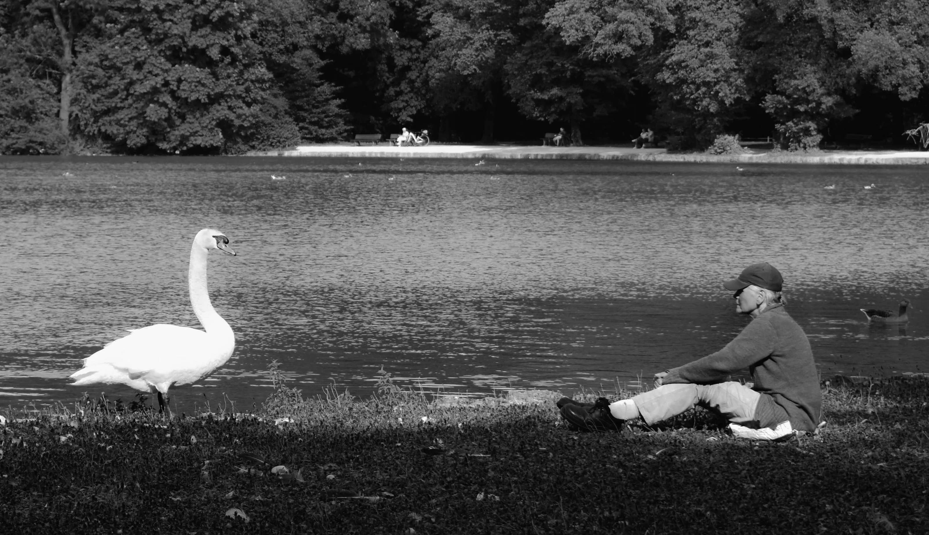 The Woman and the Swan