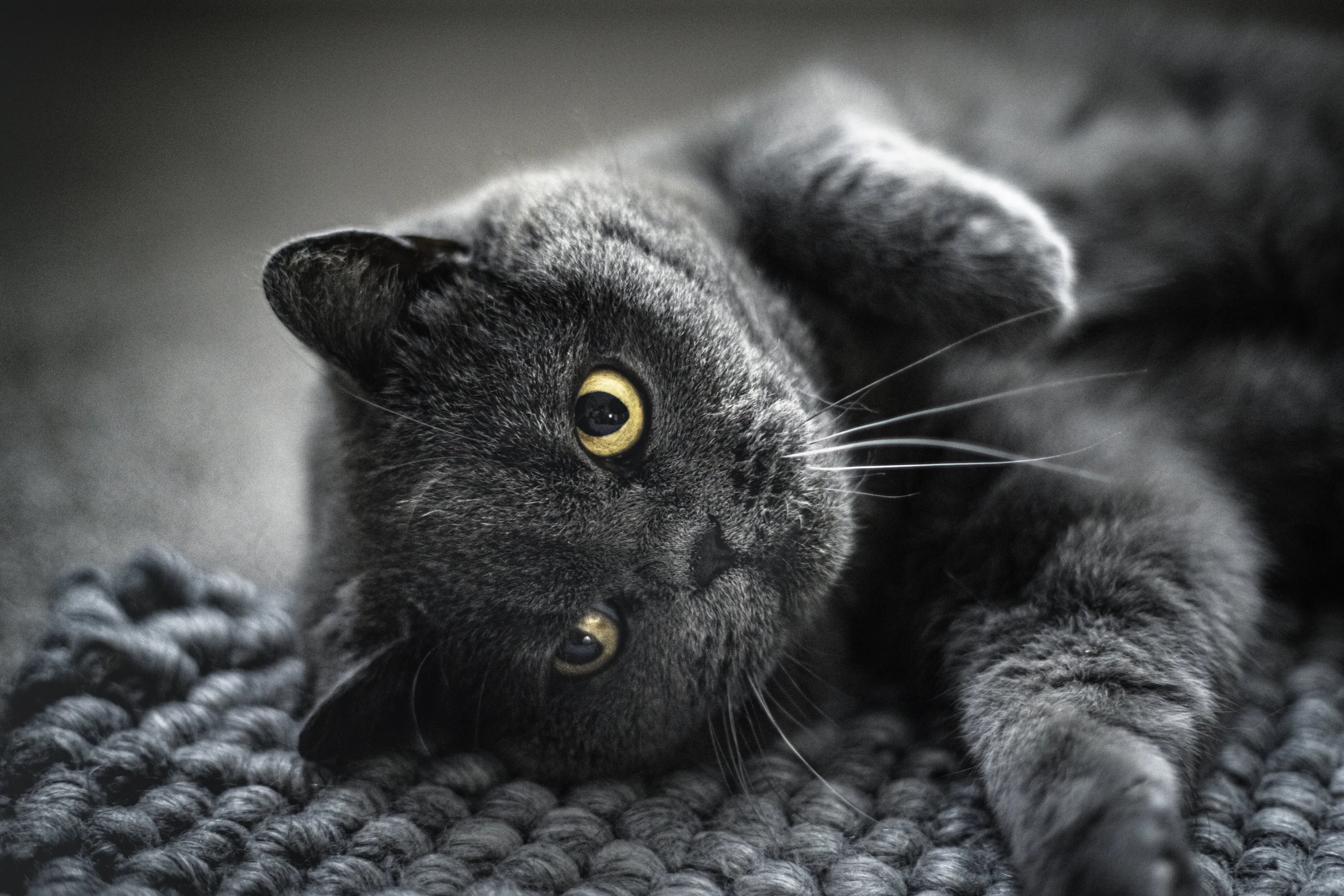 Just Chilling