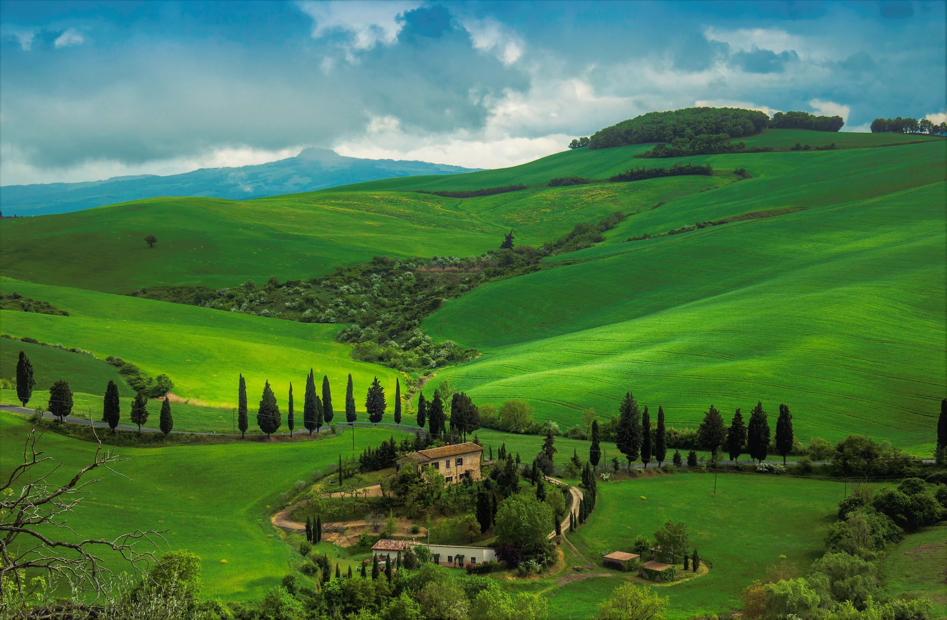 Tuscany Landscape
