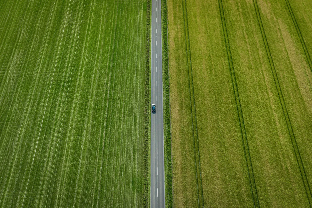 Entry 7270296