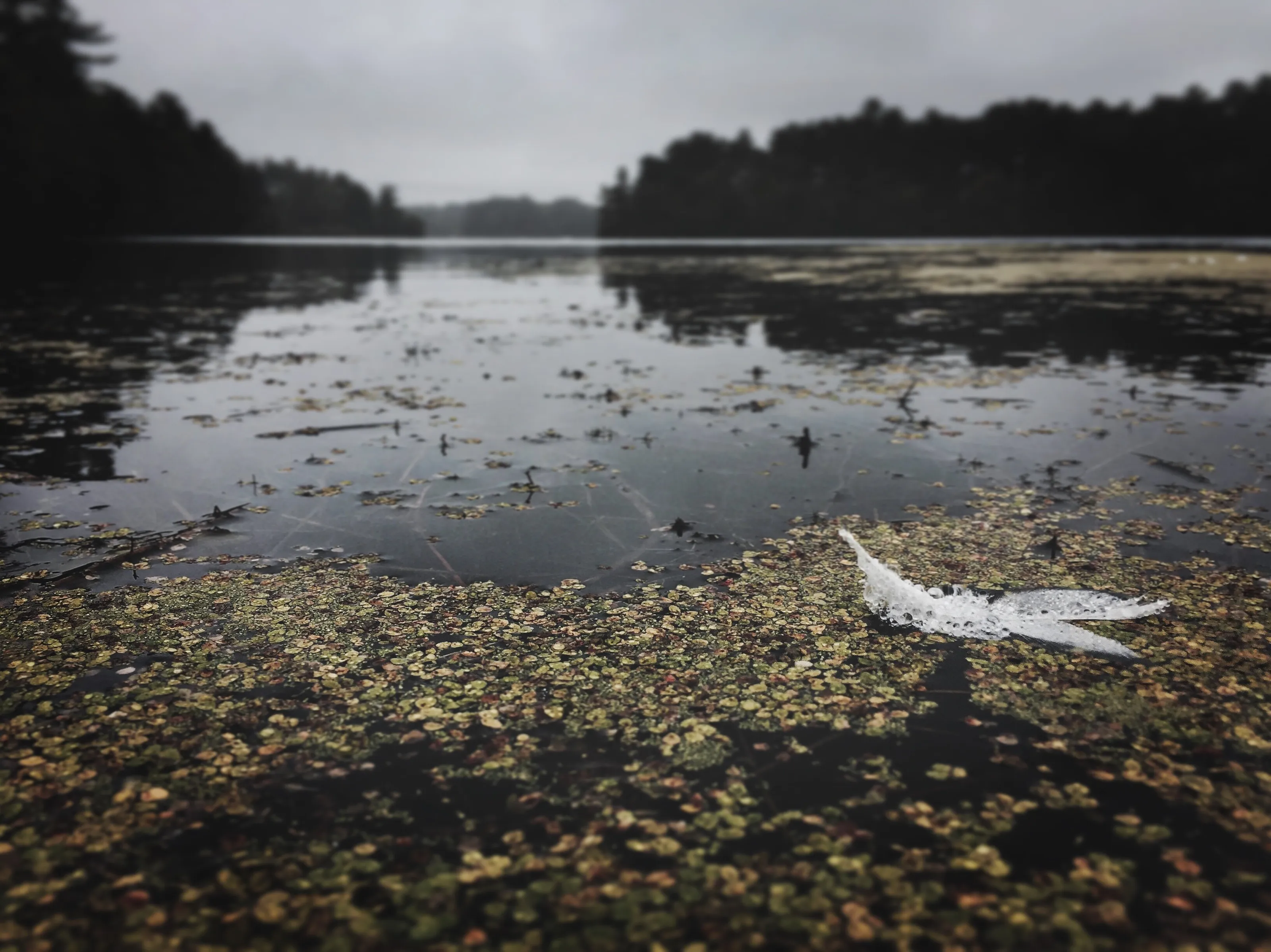Floating On