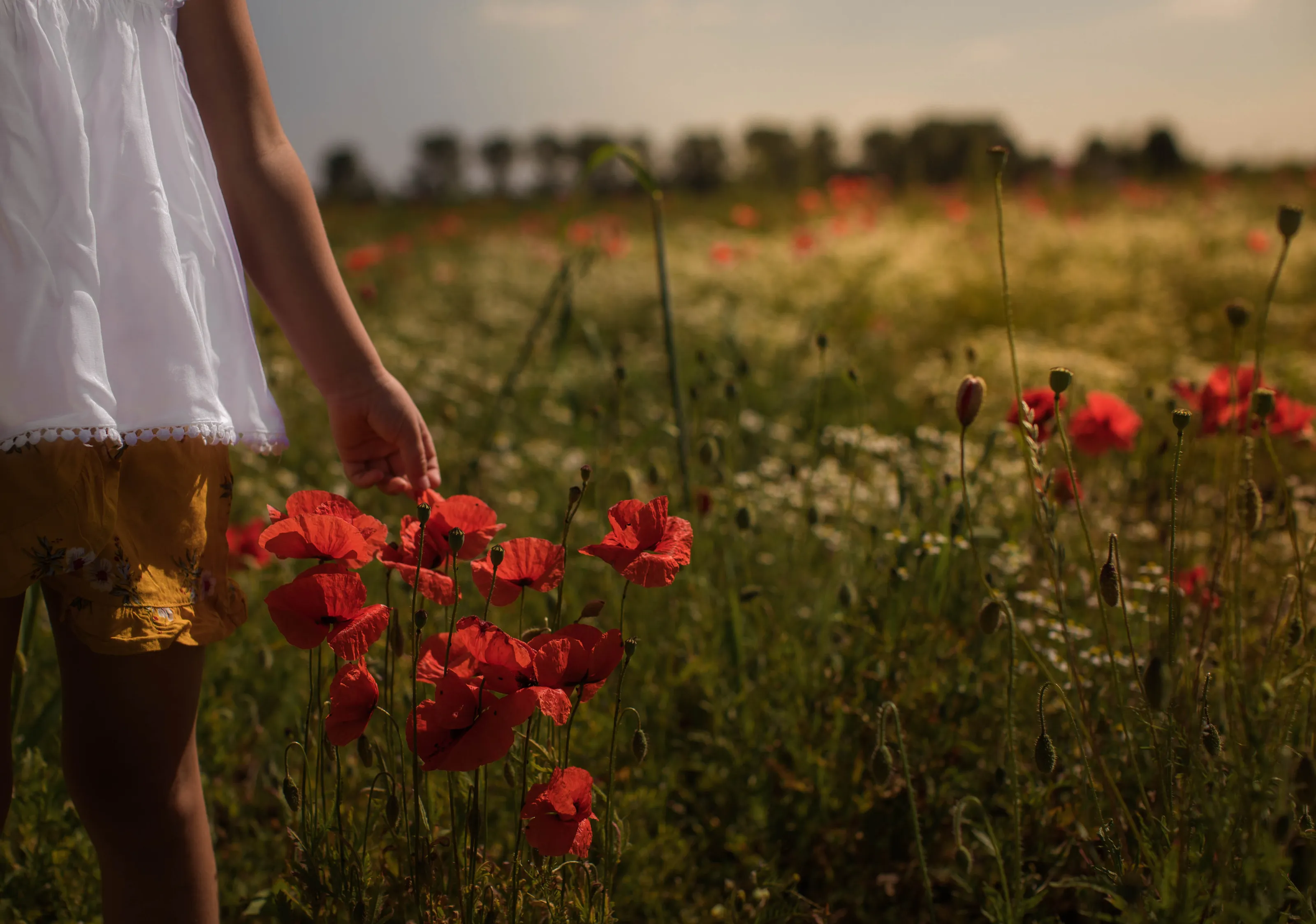 wild girls in wild flowers