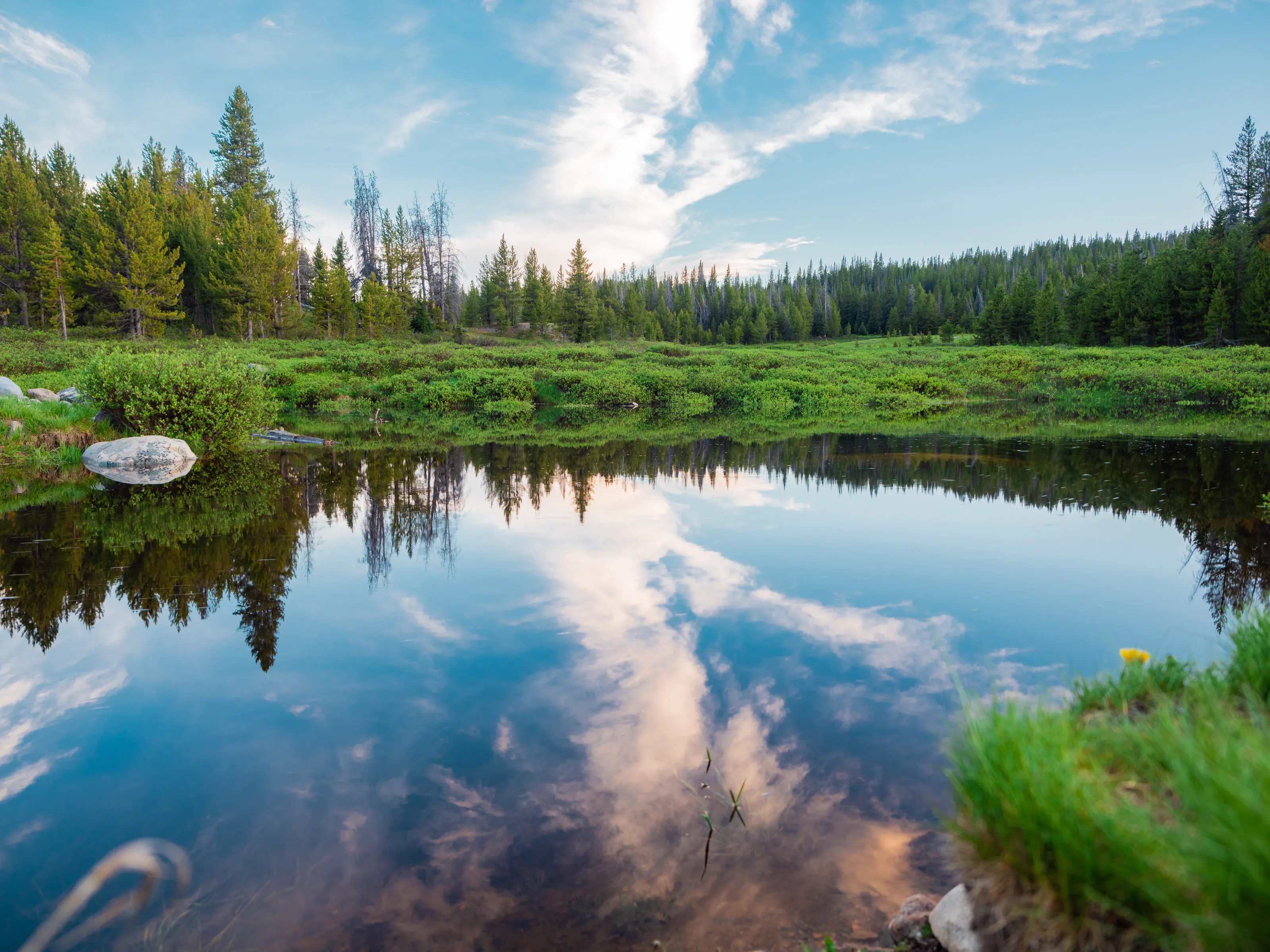 Peaceful Reflections
