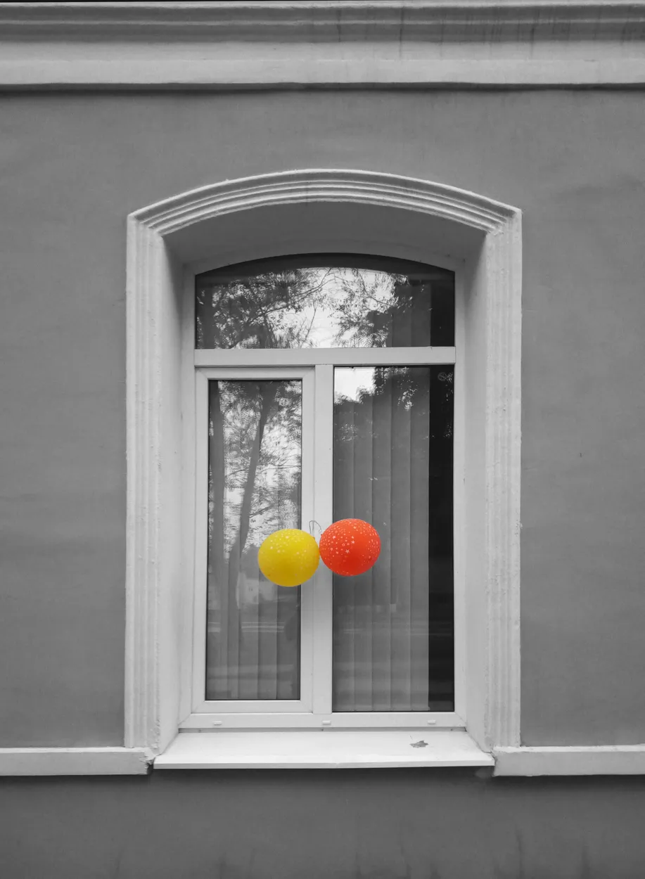 Entry 19091855