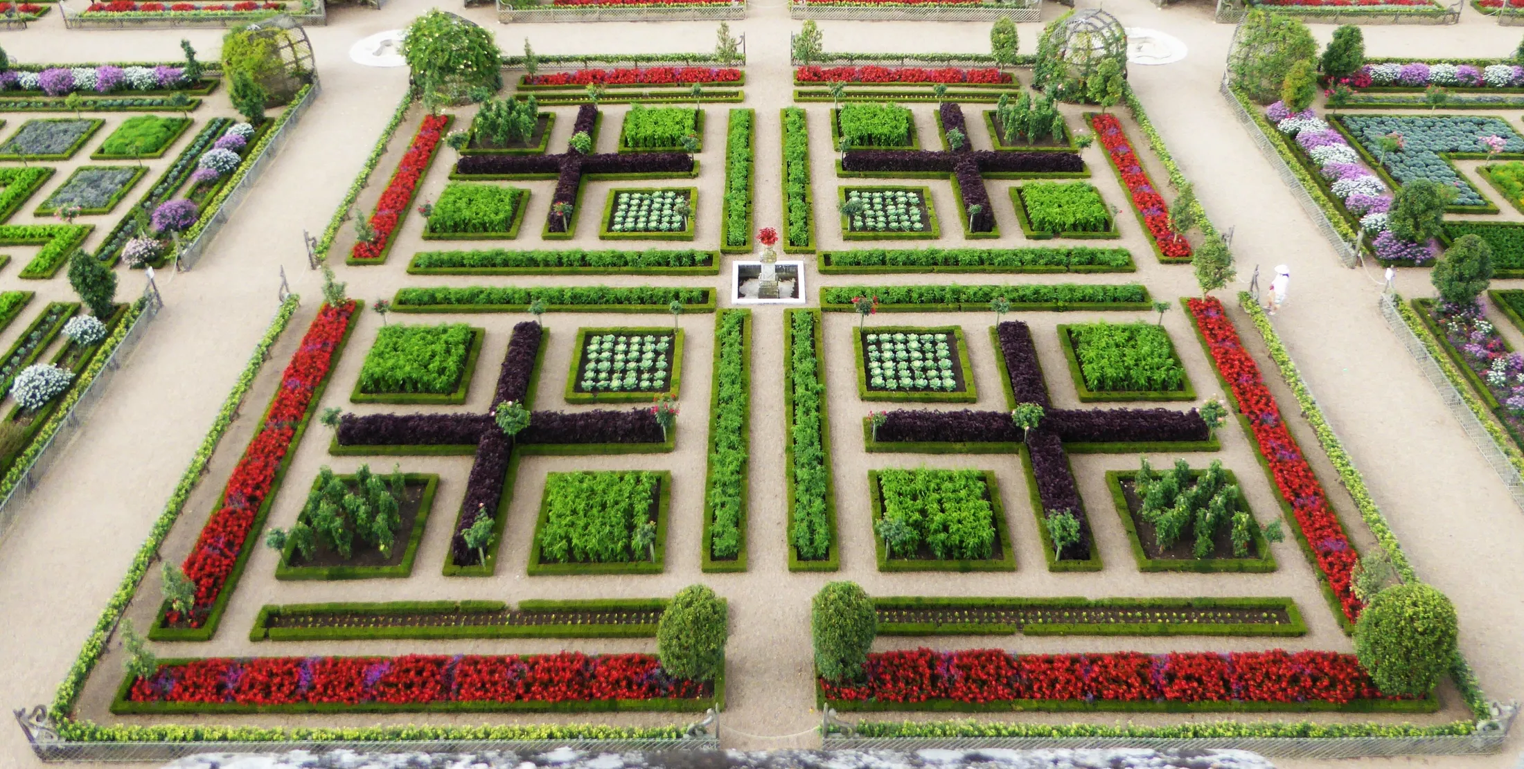 Entry 228426