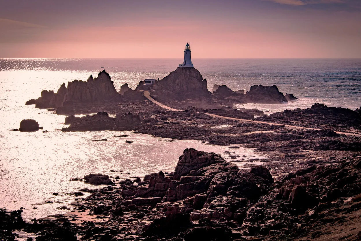 Entry 1288091