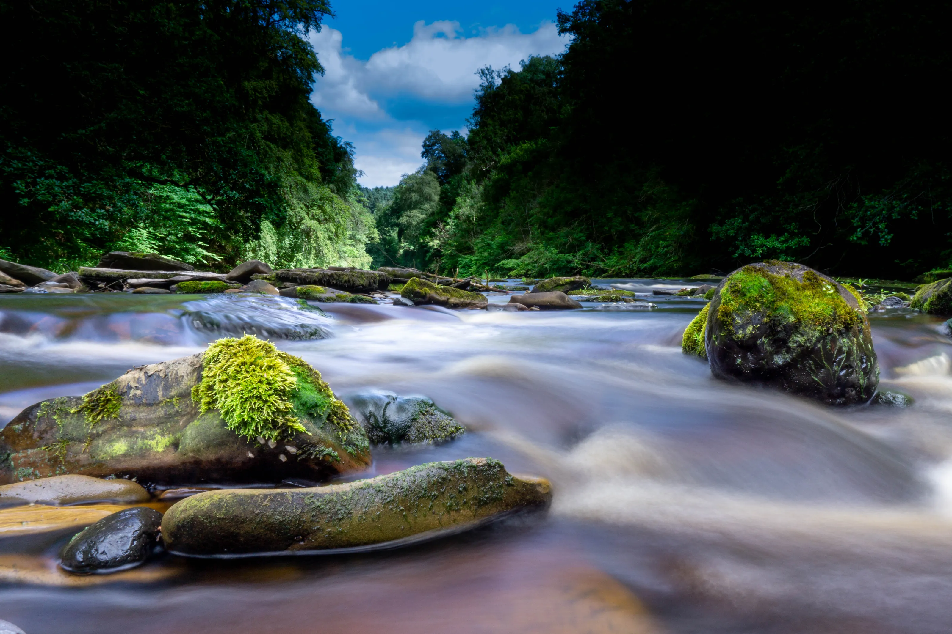 River Avon