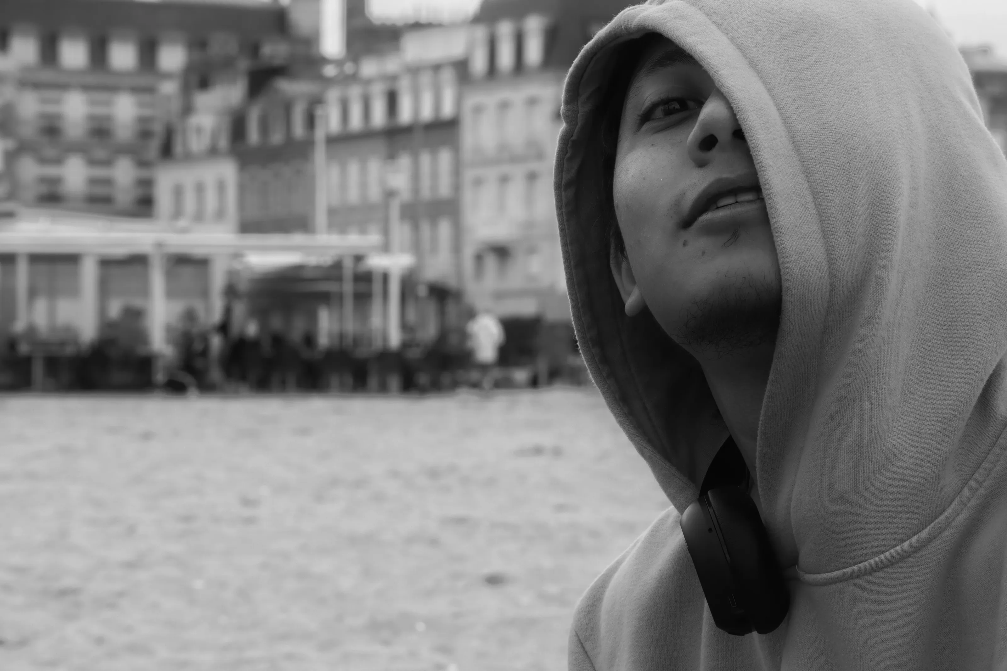 Banner image