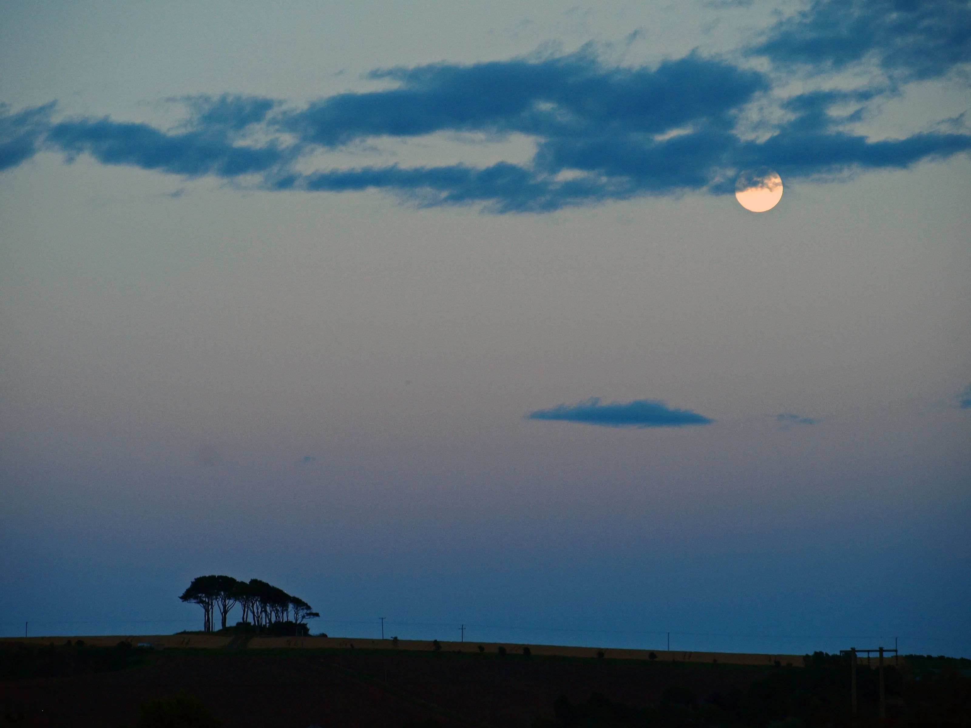 THE MOON OVER THE LAW