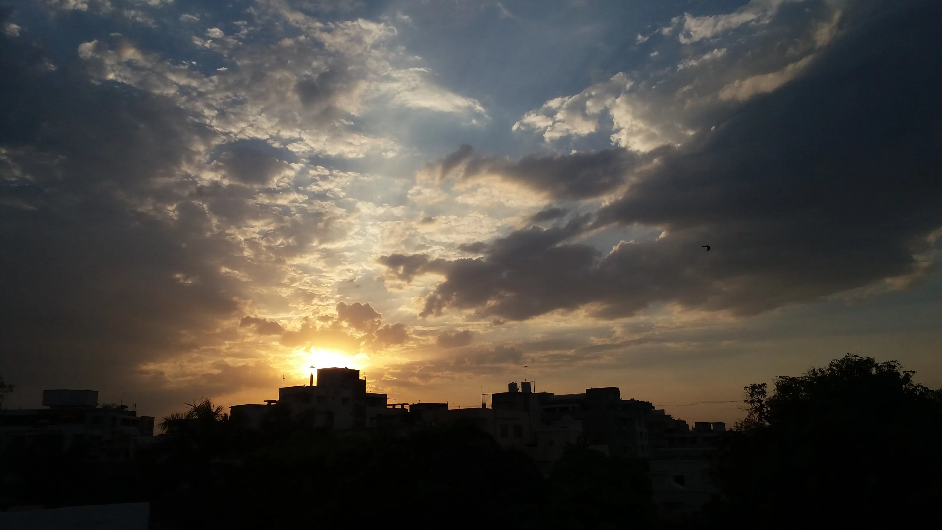 SHADOWY DUSK