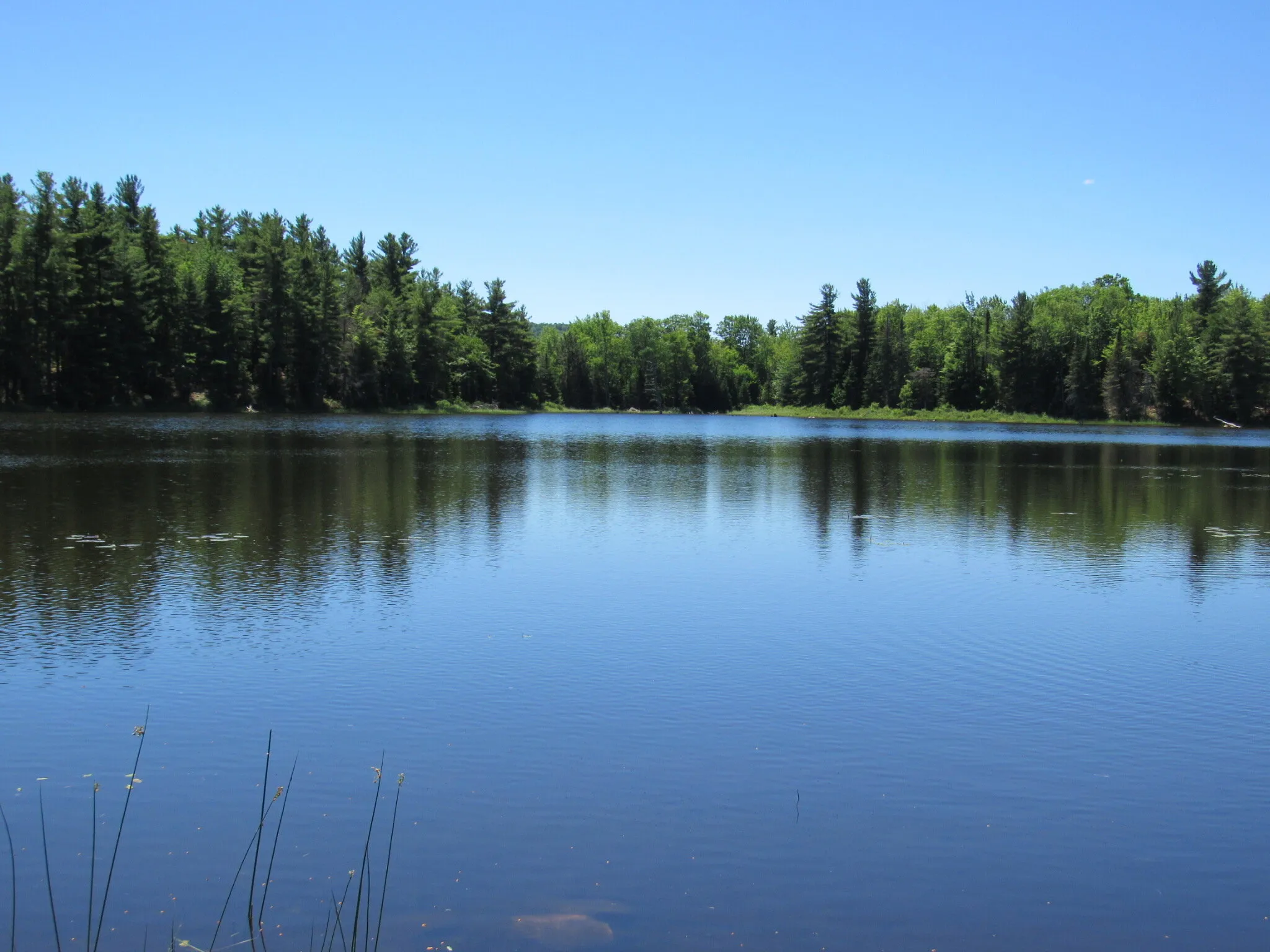 Mud pond