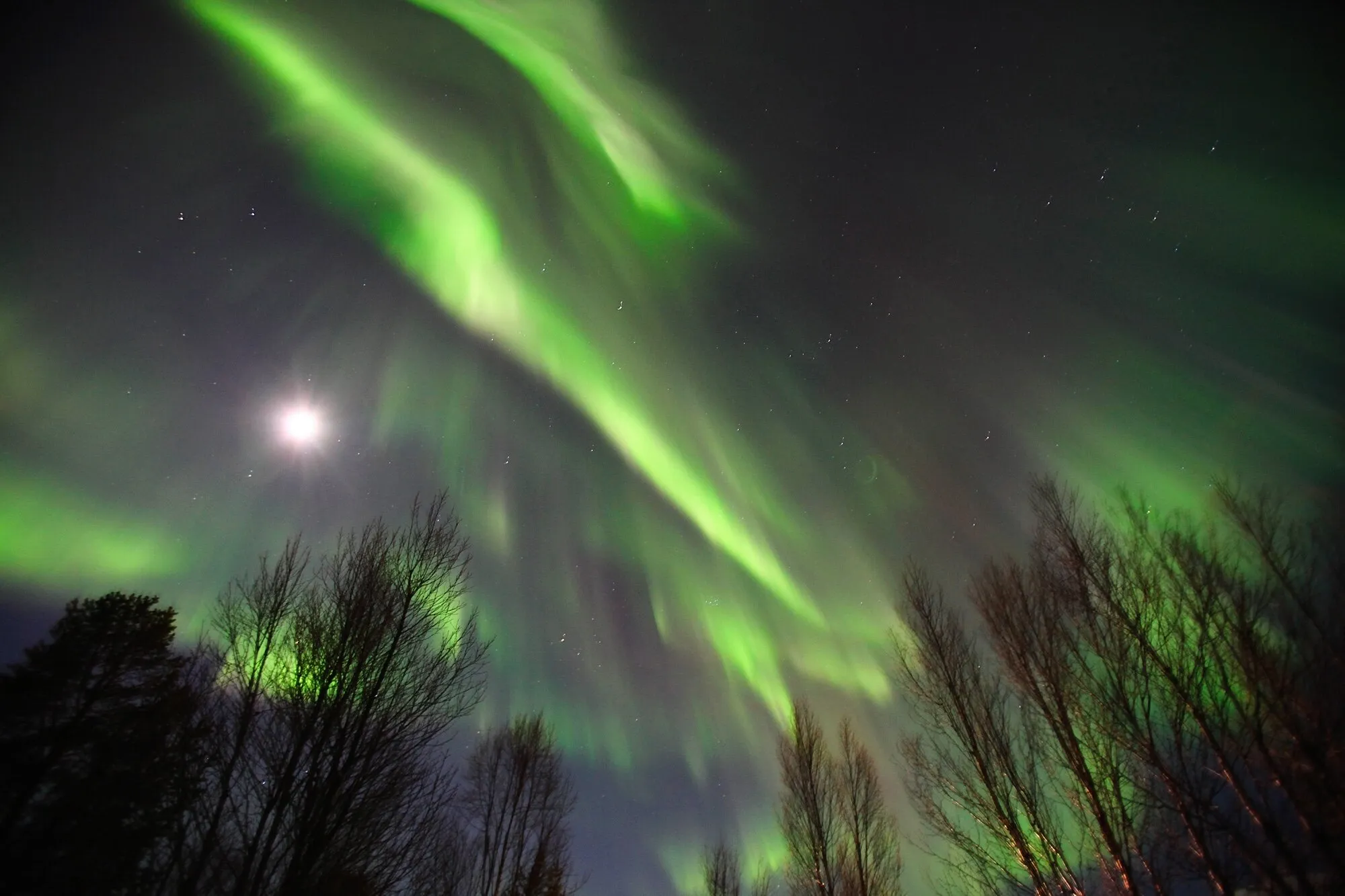 Aurora