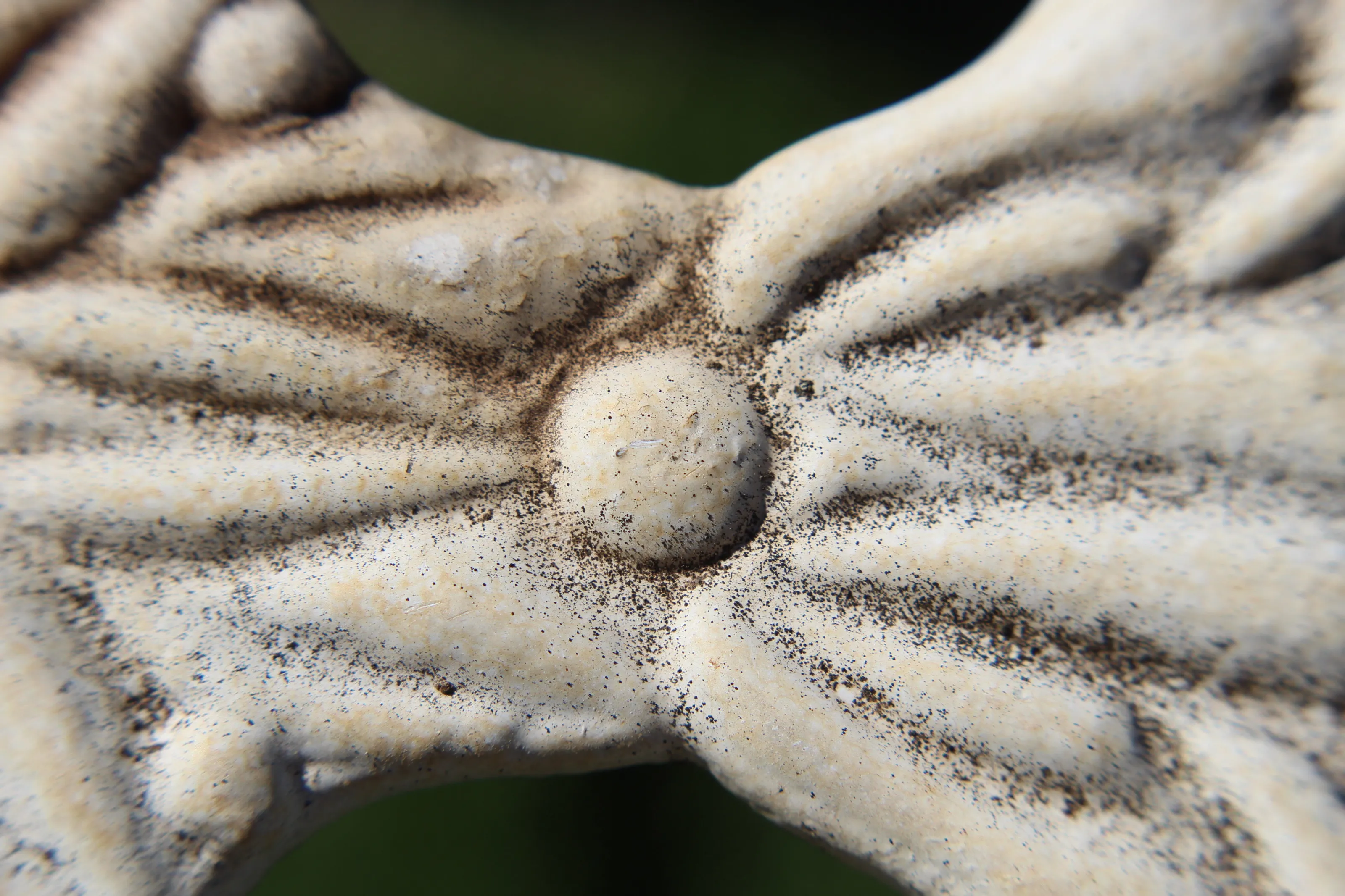 Colbrookdale Detail