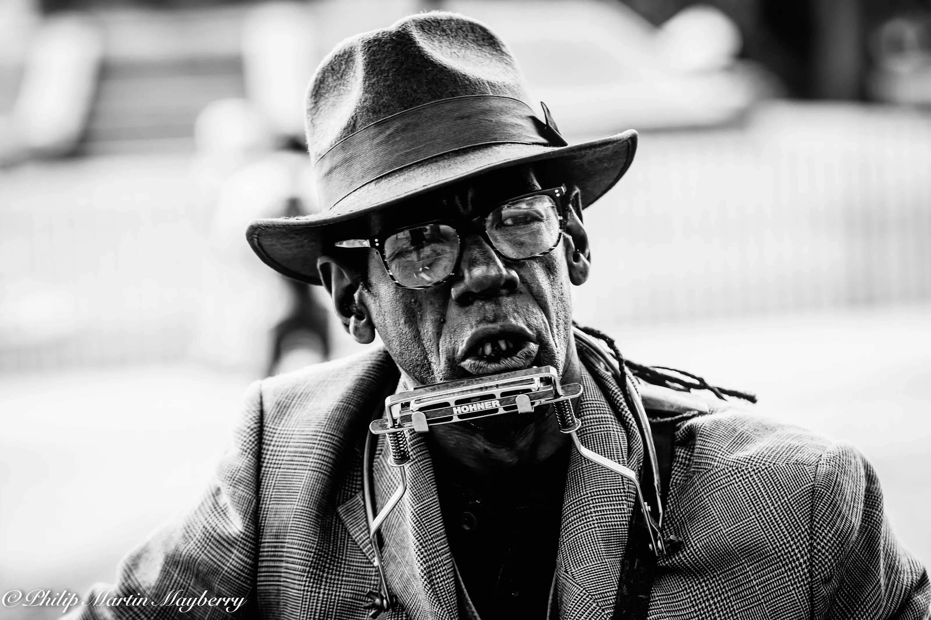 The Storied Musician