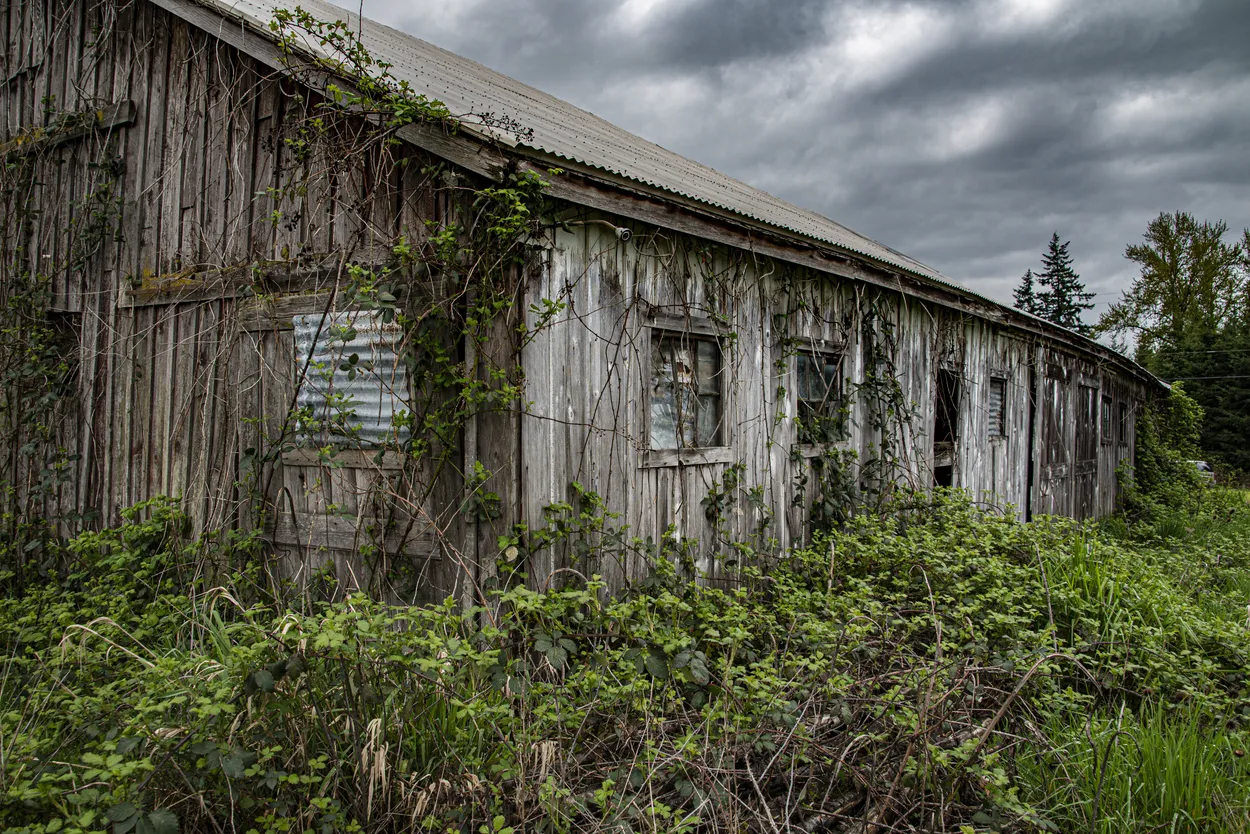 Entry 6212455