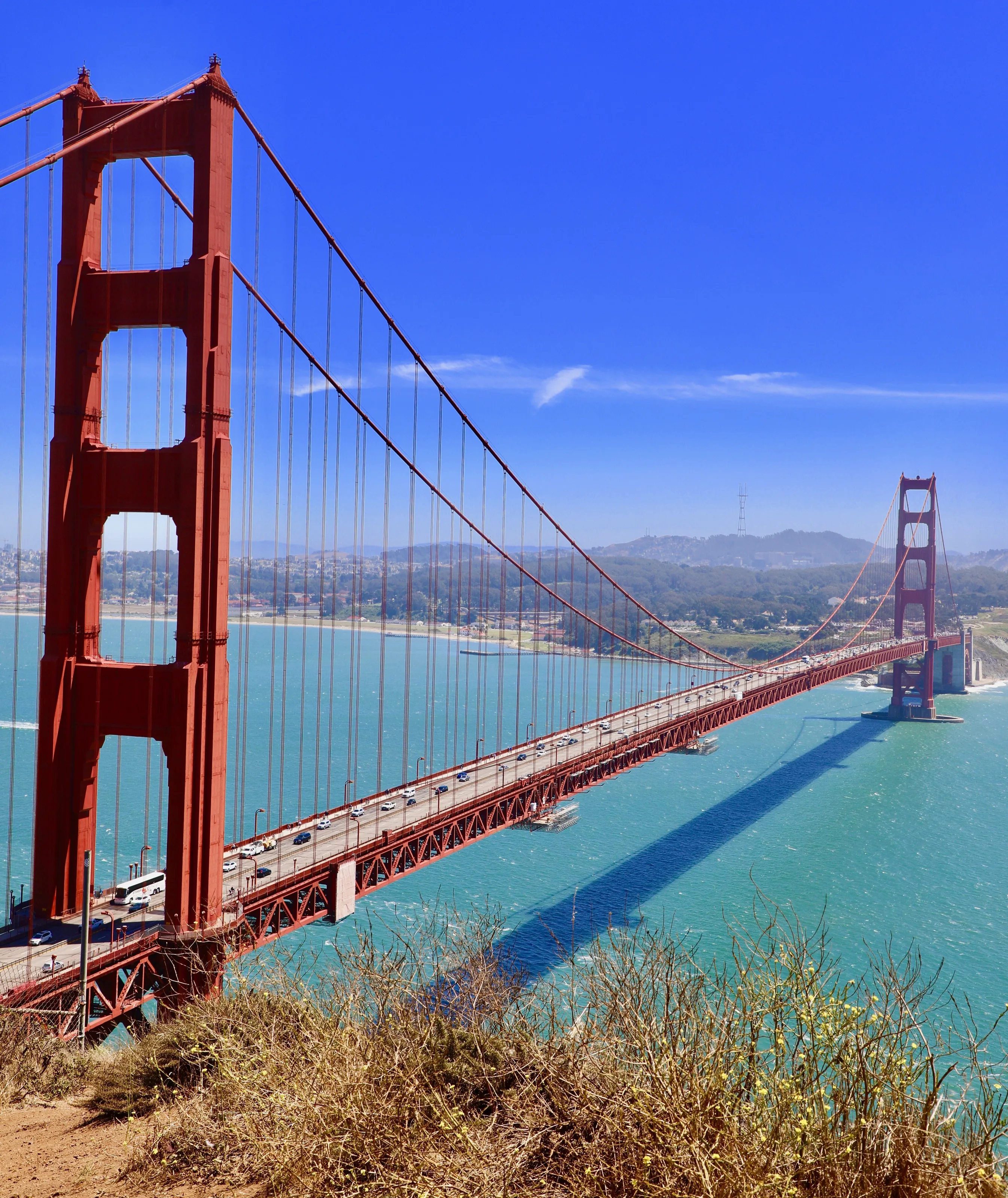 The Bridge